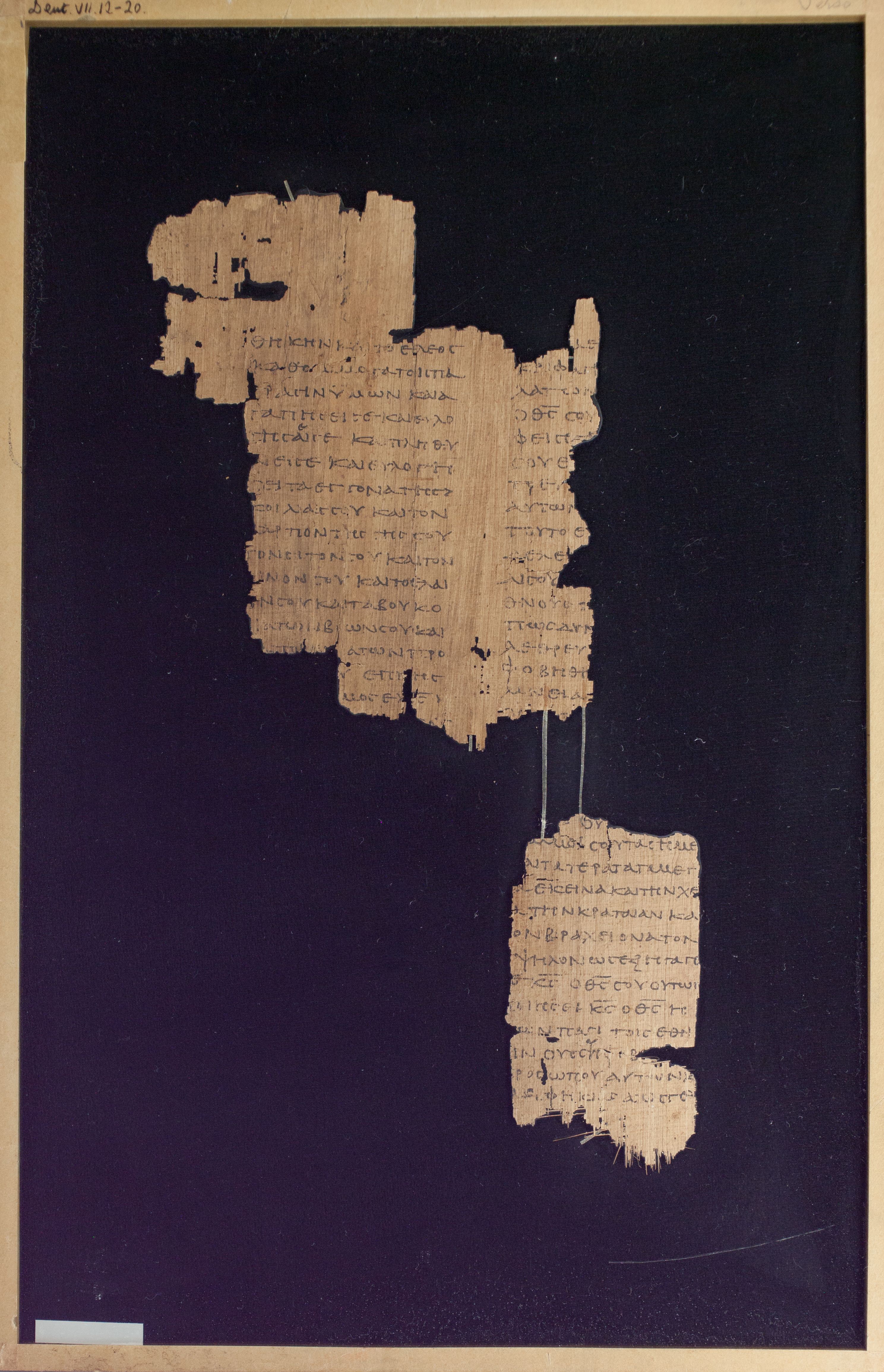 Papyrus Chester Beatty VI showing Deuteronomy 7:16 from Mid-2nd Century AD - Mid-3rd Century AD found in Aphroditopolis (Atfih), Egypt, currently housed at Chester Beatty Library, Dublin & University of Michigan, Ann Arbor