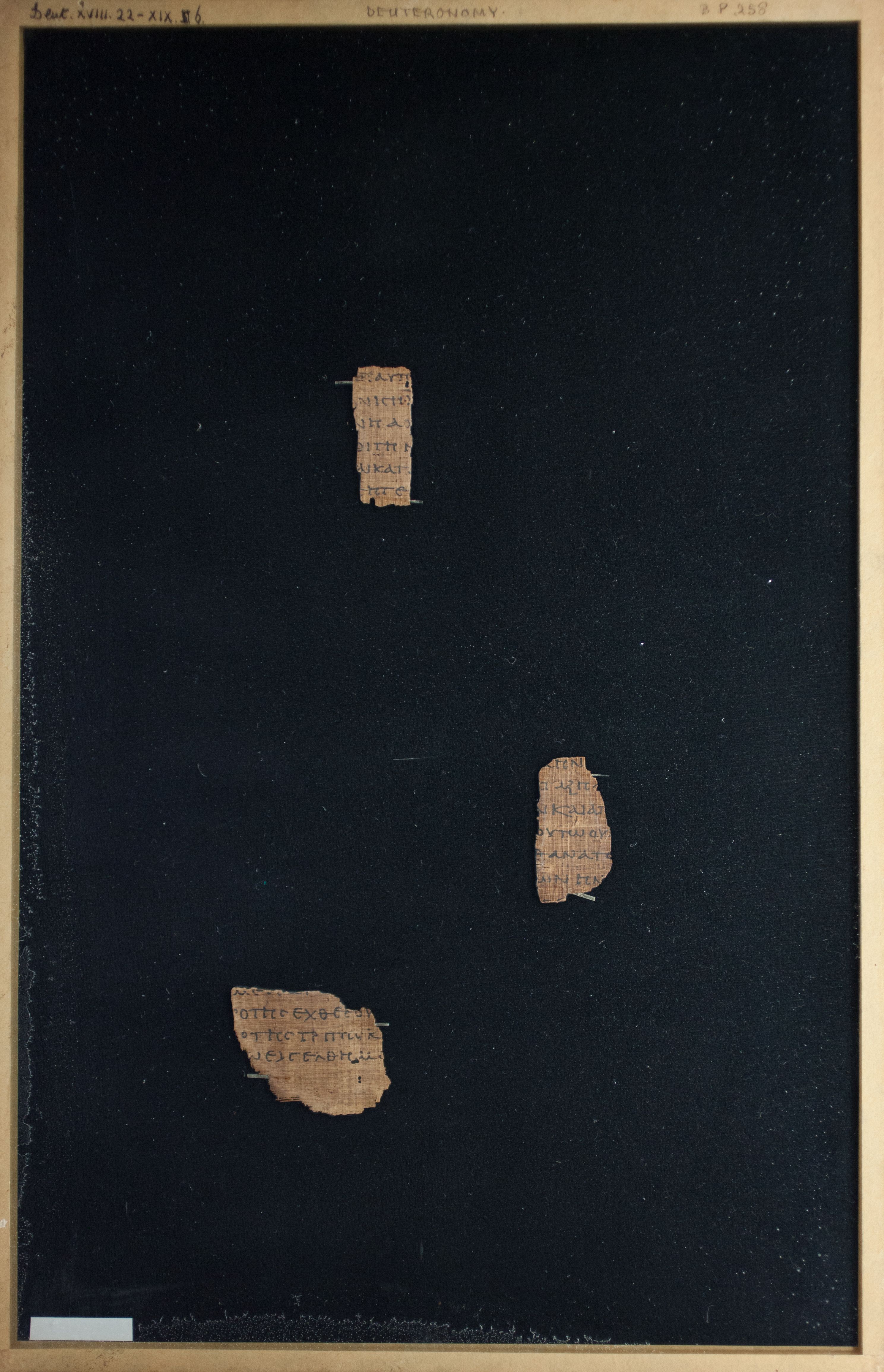 Papyrus Chester Beatty VI (Scan 1) showing Deuteronomy 19:2 from Mid-2nd Century AD - Mid-3rd Century AD found in Aphroditopolis (Atfih), Egypt, currently housed at Chester Beatty Library, Dublin & University of Michigan, Ann Arbor