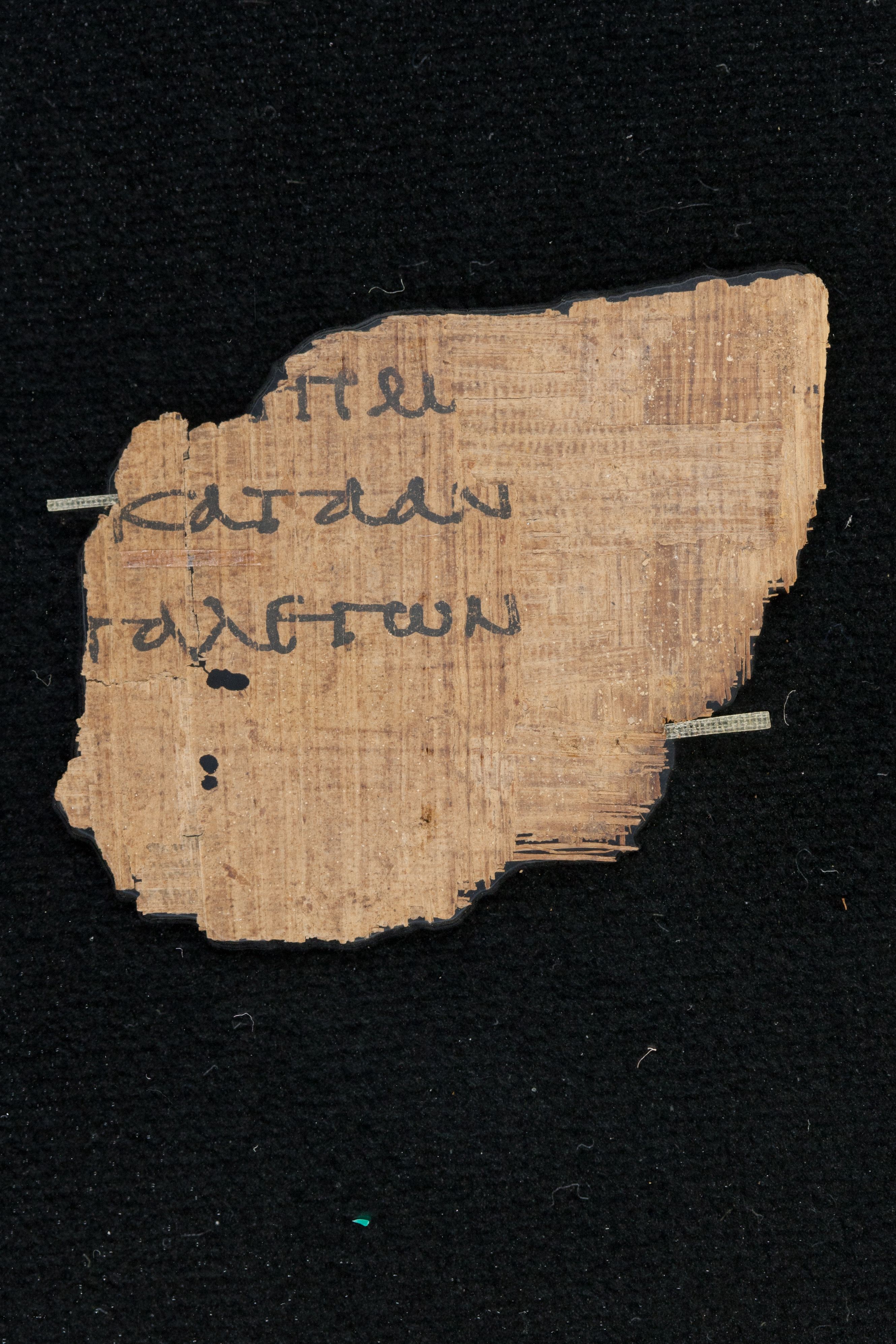 Papyrus Chester Beatty VI (Scan 4) showing Deuteronomy 19:2 from Mid-2nd Century AD - Mid-3rd Century AD found in Aphroditopolis (Atfih), Egypt, currently housed at Chester Beatty Library, Dublin & University of Michigan, Ann Arbor