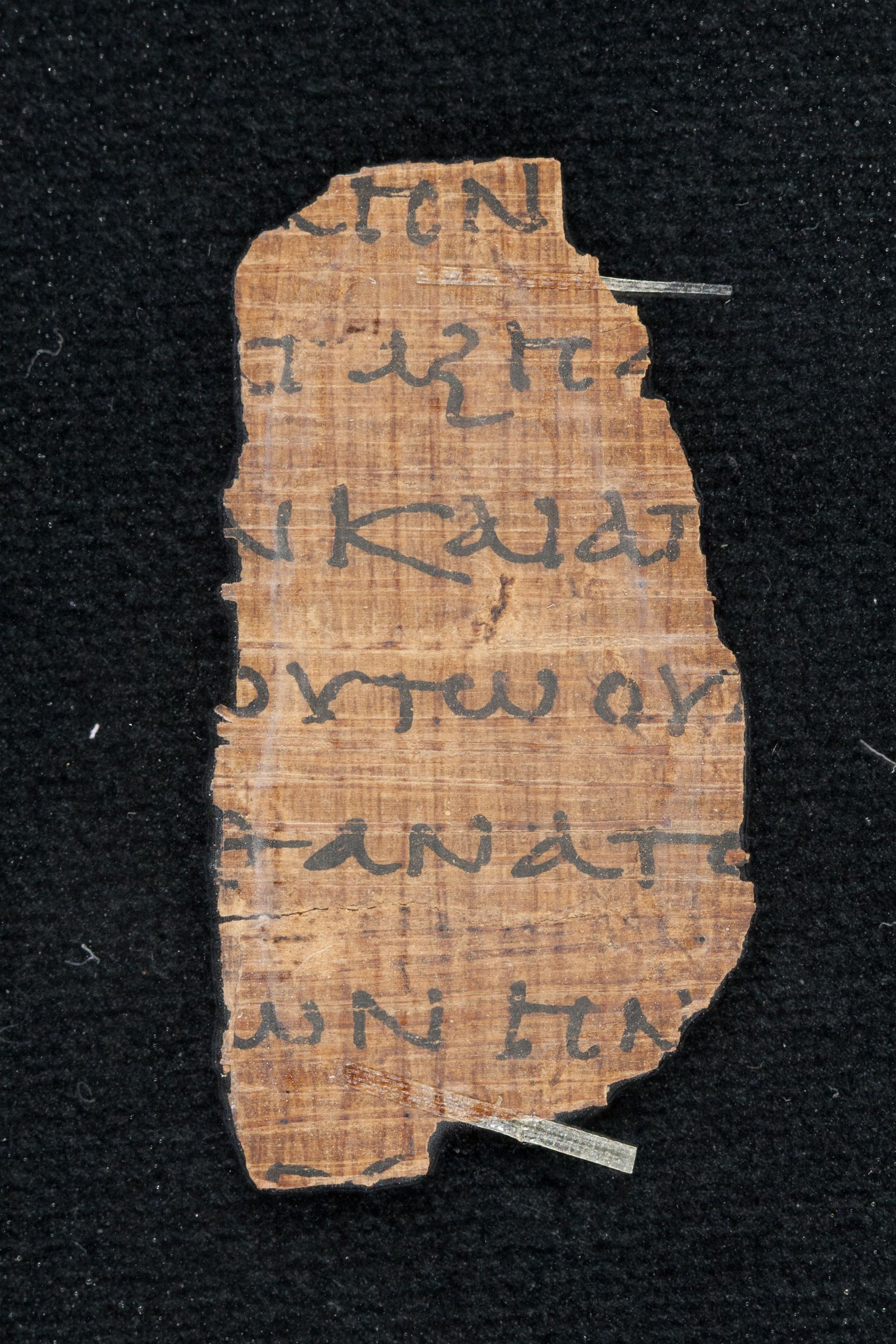 Papyrus Chester Beatty VI (Scan 3) showing Deuteronomy 19:10 from Mid-2nd Century AD - Mid-3rd Century AD found in Aphroditopolis (Atfih), Egypt, currently housed at Chester Beatty Library, Dublin & University of Michigan, Ann Arbor