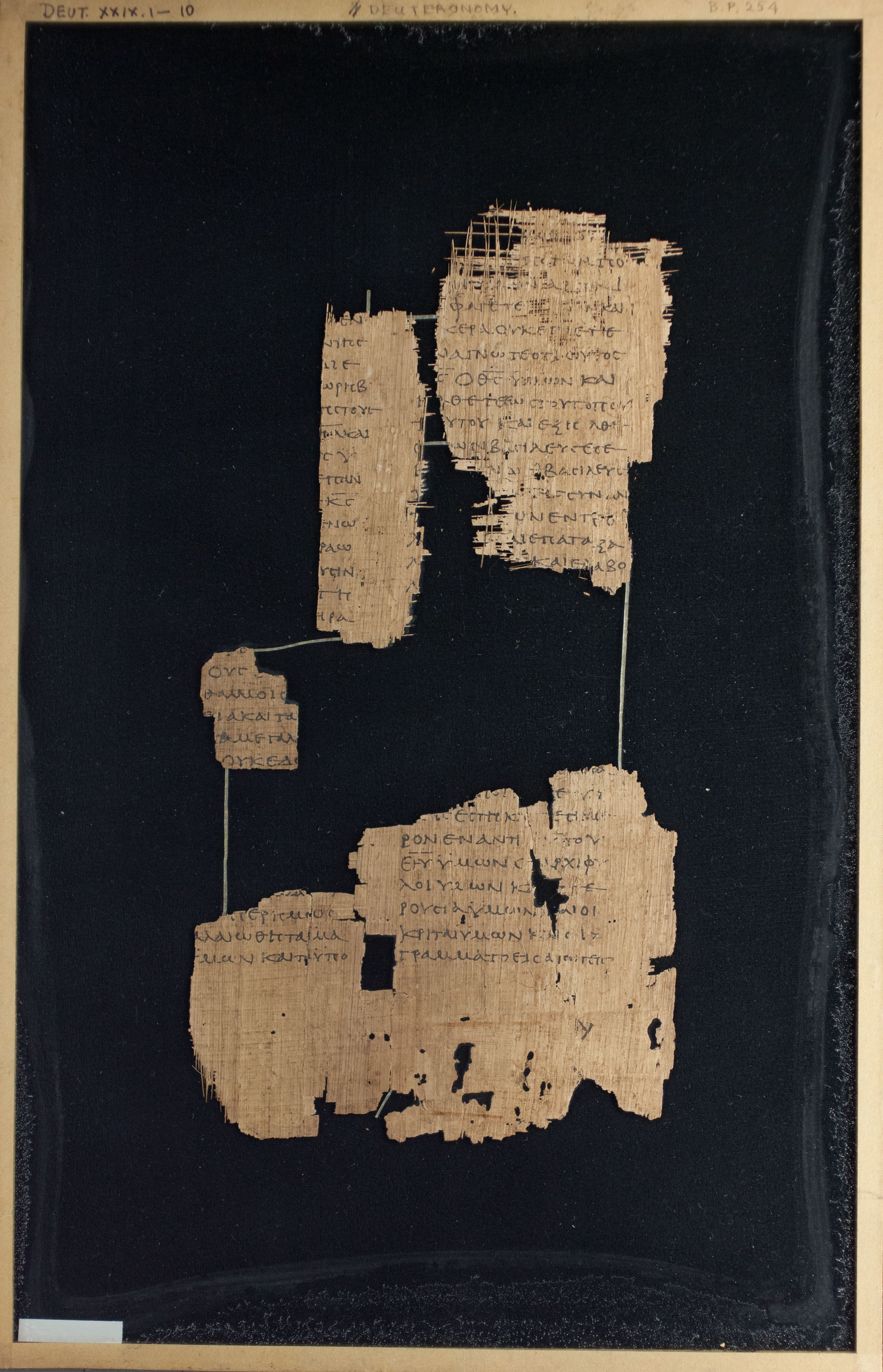 Papyrus Chester Beatty VI showing Deuteronomy 29:4 from Mid-2nd Century AD - Mid-3rd Century AD found in Aphroditopolis (Atfih), Egypt, currently housed at Chester Beatty Library, Dublin & University of Michigan, Ann Arbor