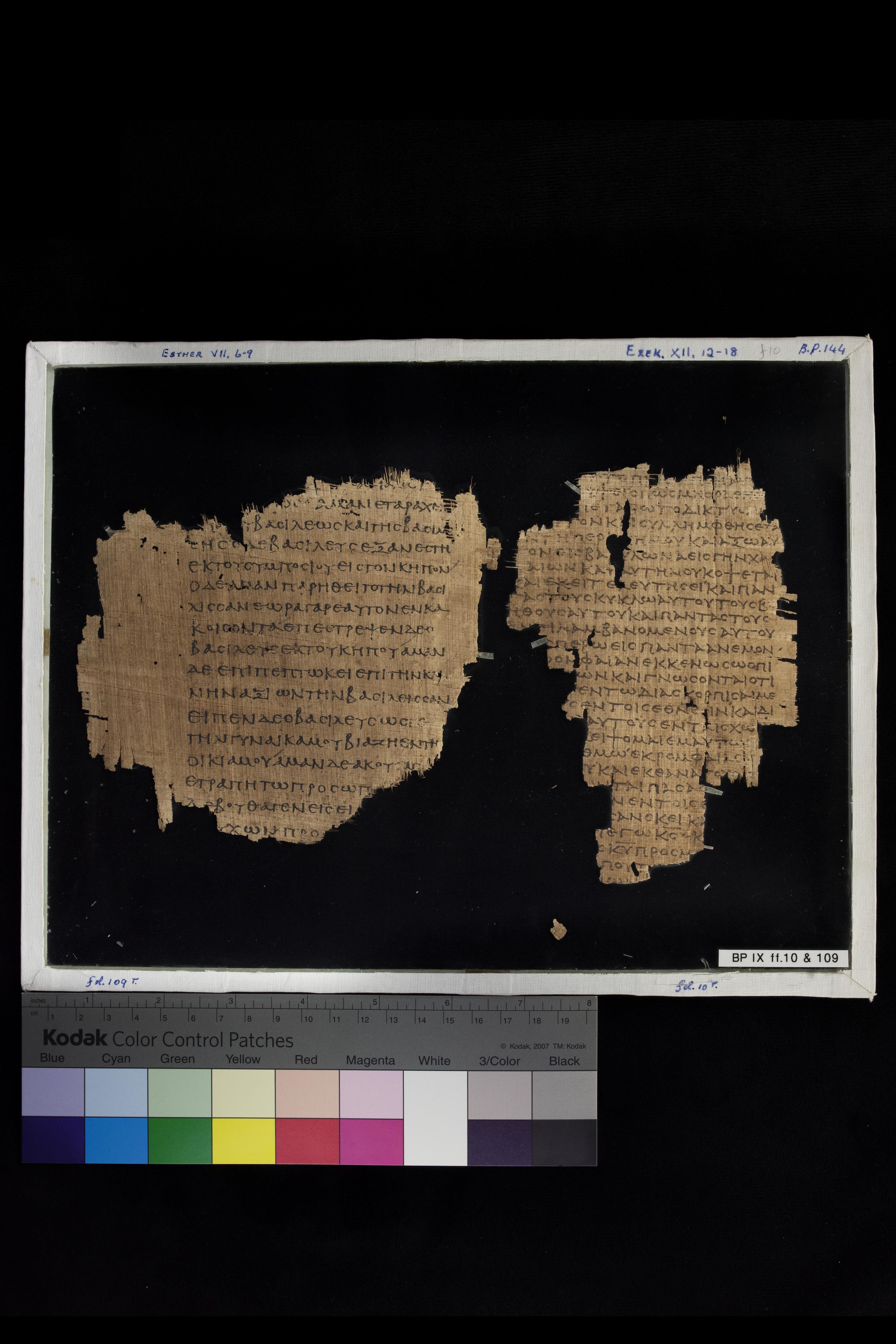 Papyrus 967 (Scan 1) showing Ezekiel 12:2 from Late 2nd Century - Early 3rd Century AD, currently housed at Chester Beatty Library (Dublin) and University of Cologne