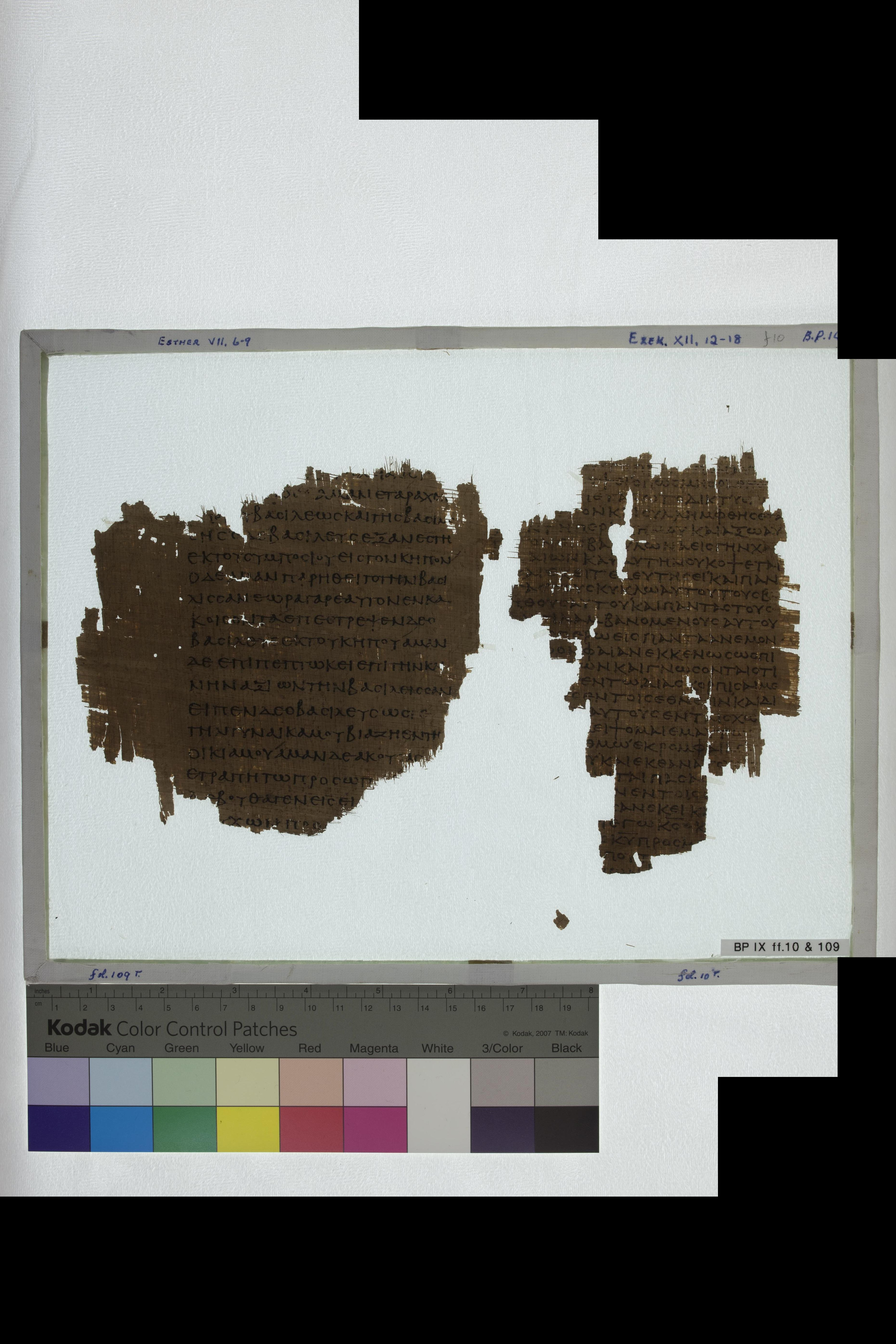 Papyrus 967 (Scan 2) showing Ezekiel 12:2 from Late 2nd Century - Early 3rd Century AD, currently housed at Chester Beatty Library (Dublin) and University of Cologne