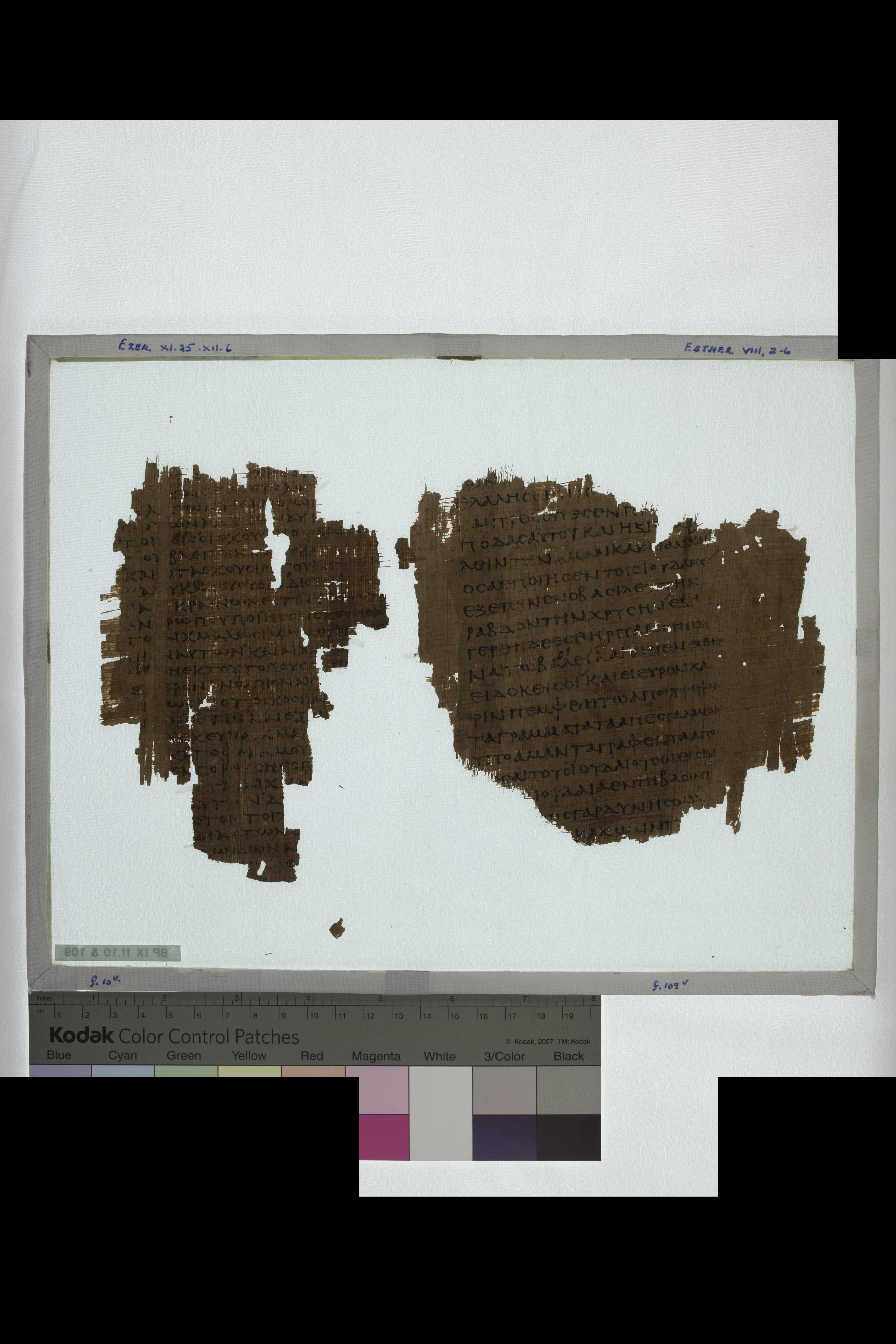 Papyrus 967 (Scan 2) showing Ezekiel 12:13 from Late 2nd Century - Early 3rd Century AD, currently housed at Chester Beatty Library (Dublin) and University of Cologne