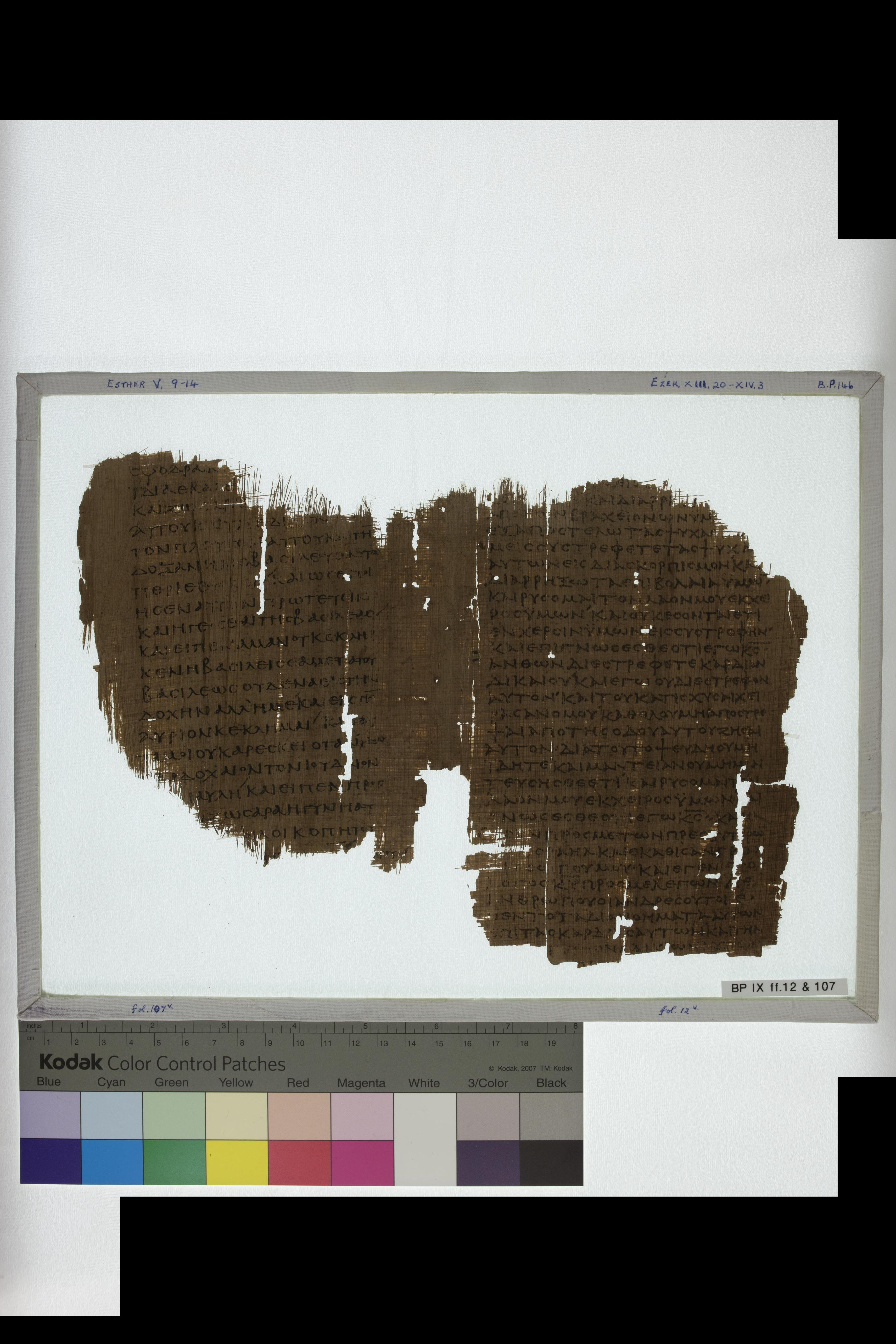 Papyrus 967 (Scan 2) showing Ezekiel 13:22 from Late 2nd Century - Early 3rd Century AD, currently housed at Chester Beatty Library (Dublin) and University of Cologne