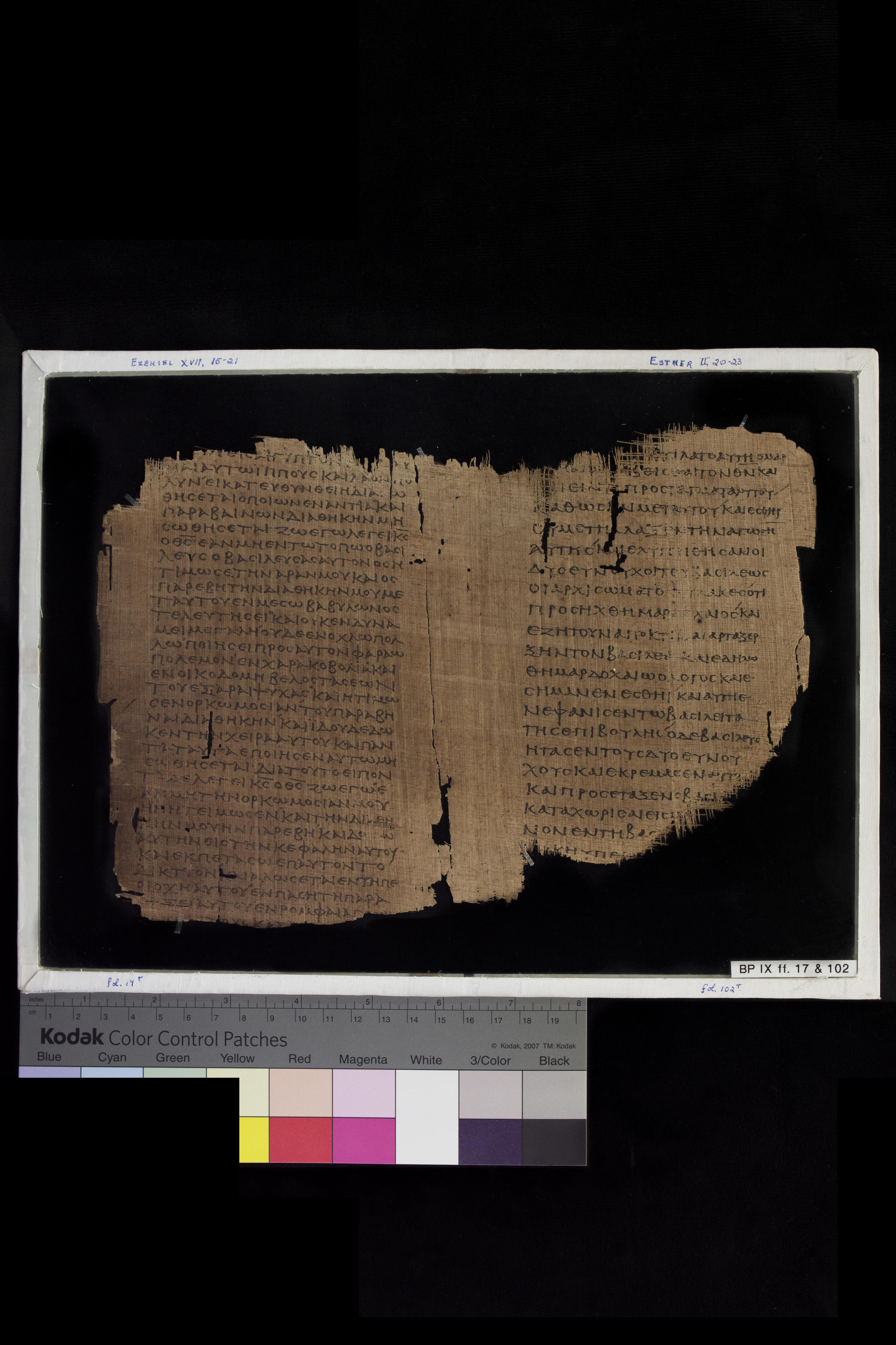 Papyrus 967 (Scan 1) showing Ezekiel 17:7 from Late 2nd Century - Early 3rd Century AD, currently housed at Chester Beatty Library (Dublin) and University of Cologne