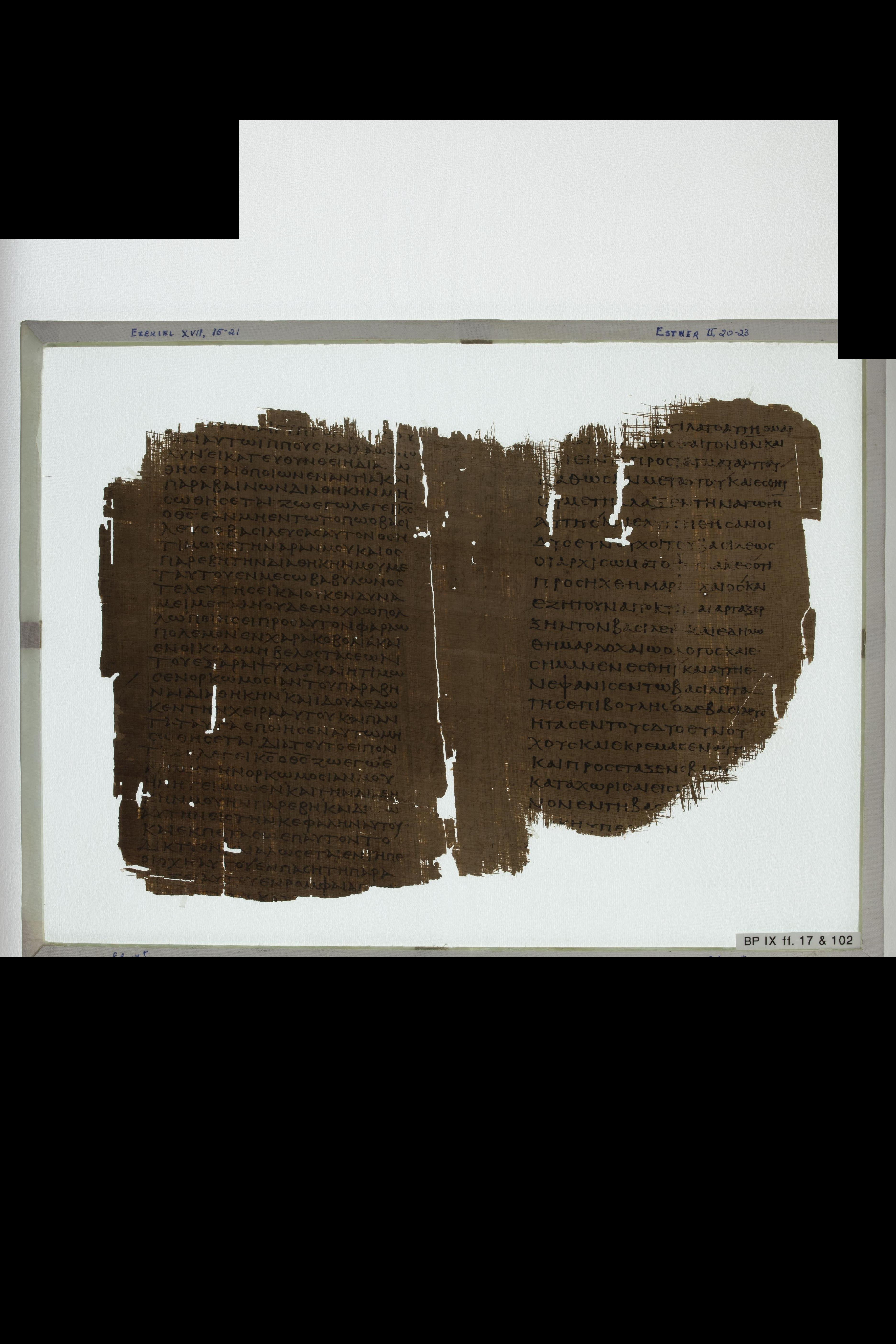 Papyrus 967 (Scan 2) showing Ezekiel 17:7 from Late 2nd Century - Early 3rd Century AD, currently housed at Chester Beatty Library (Dublin) and University of Cologne