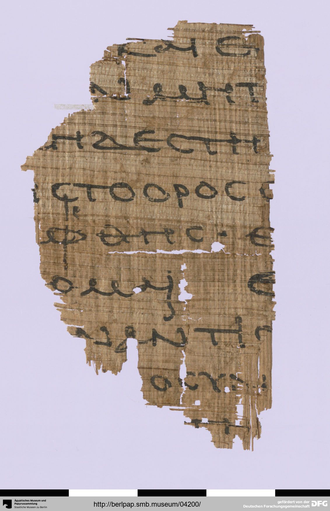Papyrus Berlin 17213 showing Genesis 19:12 from 3rd Century AD found in Egypt, currently housed at Egyptian Museum of Berlin