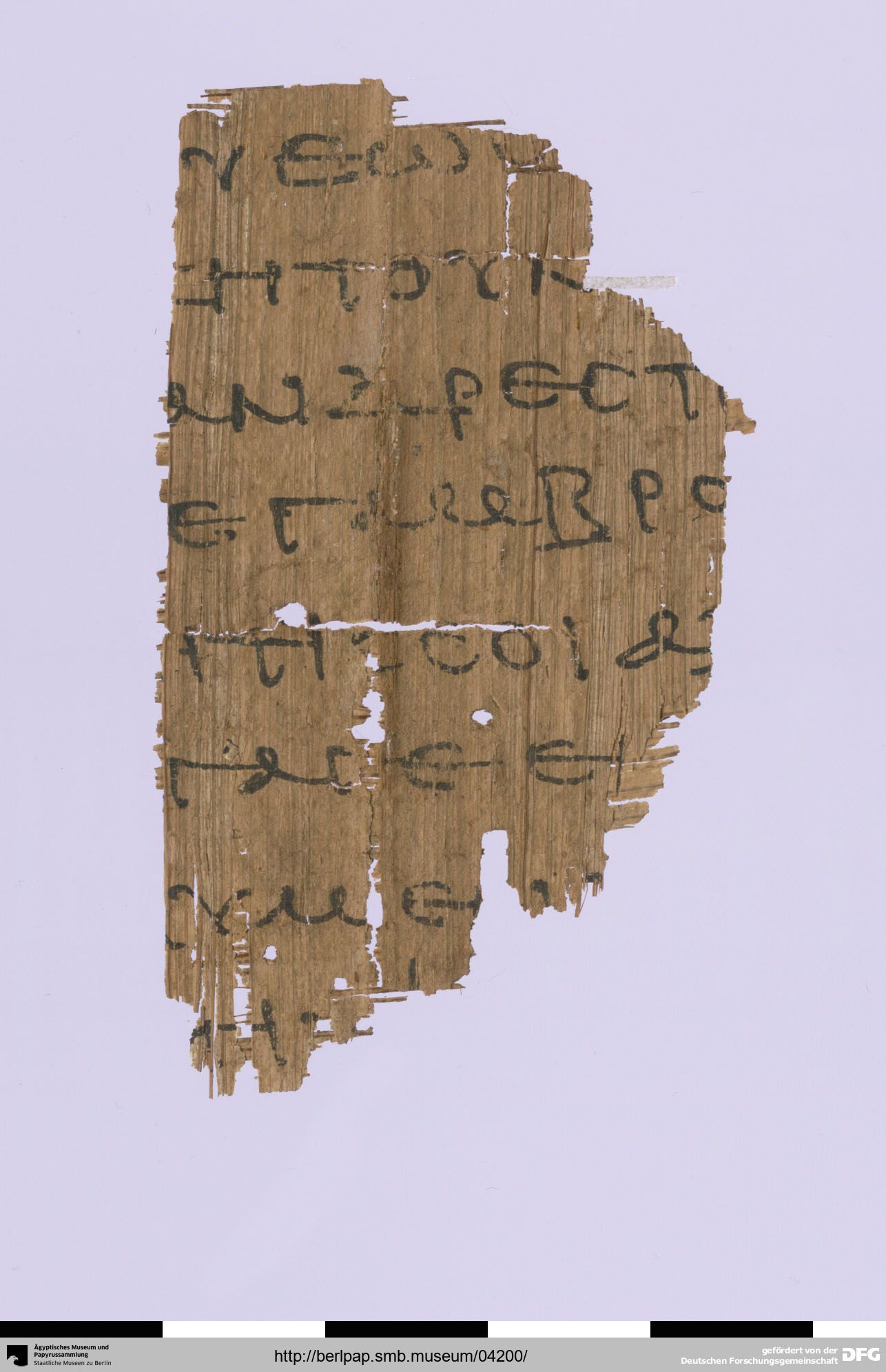 Papyrus Berlin 17213 showing Genesis 19:17 from 3rd Century AD found in Egypt, currently housed at Egyptian Museum of Berlin