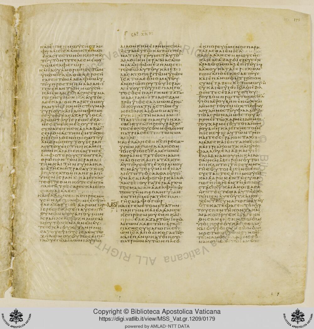 Codex Vaticanus showing Numbers 26:21 from Early to Mid-4th Century AD, currently housed at Vatican Library, Vatican City