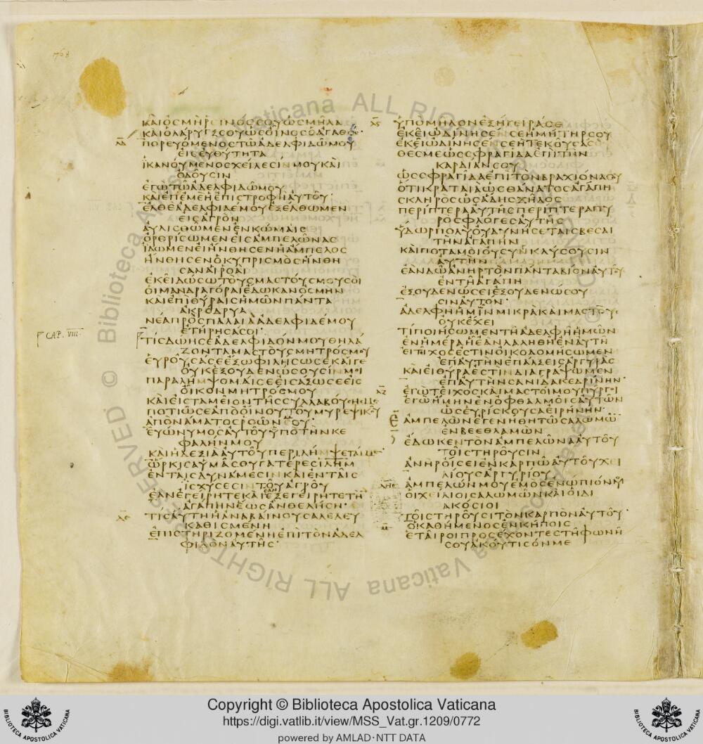 Codex Vaticanus showing Song of Solomon 7:3 from Early to Mid-4th Century AD, currently housed at Vatican Library, Vatican City