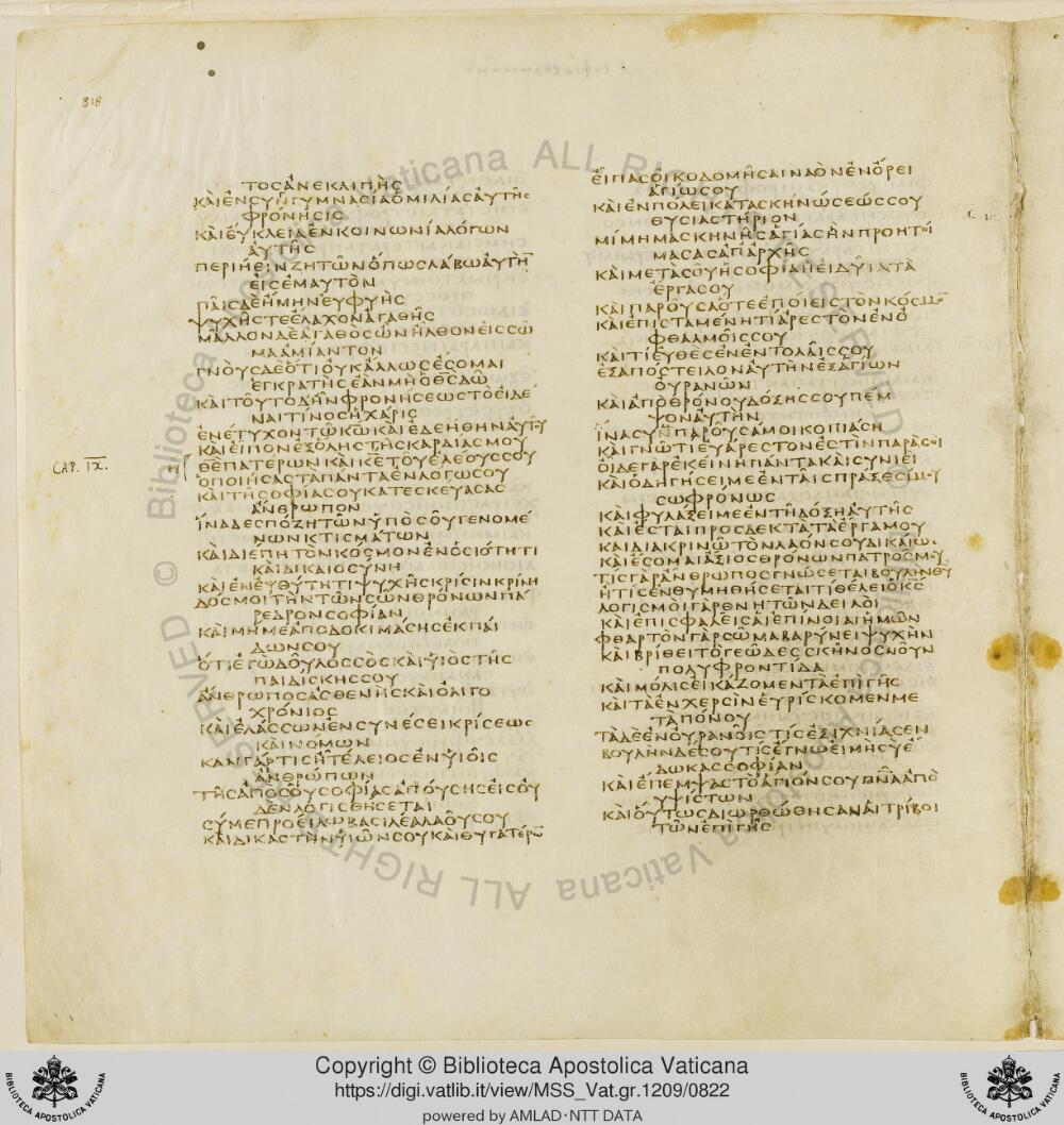 Codex Vaticanus showing Wisdom of Solomon 8:13 from Early to Mid-4th Century AD, currently housed at Vatican Library, Vatican City