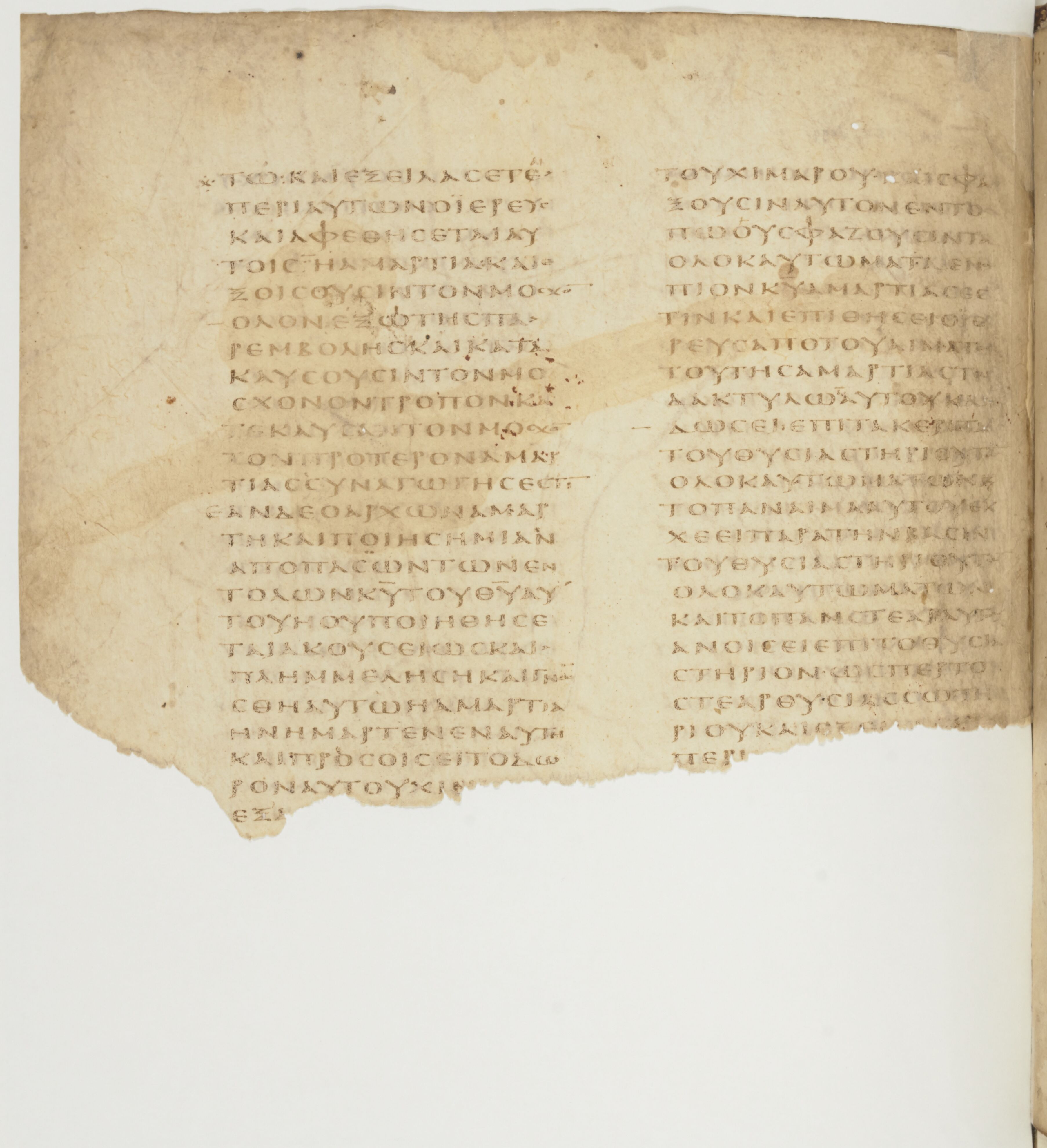 Codex Colberto-Sarravianus showing Leviticus 8:32 from Late 4th Century – Early 5th Century AD found in Egypt, currently housed at University Library, Leiden; Bibliothèque nationale de France, Paris; National Library of Russia, Saint Petersburg