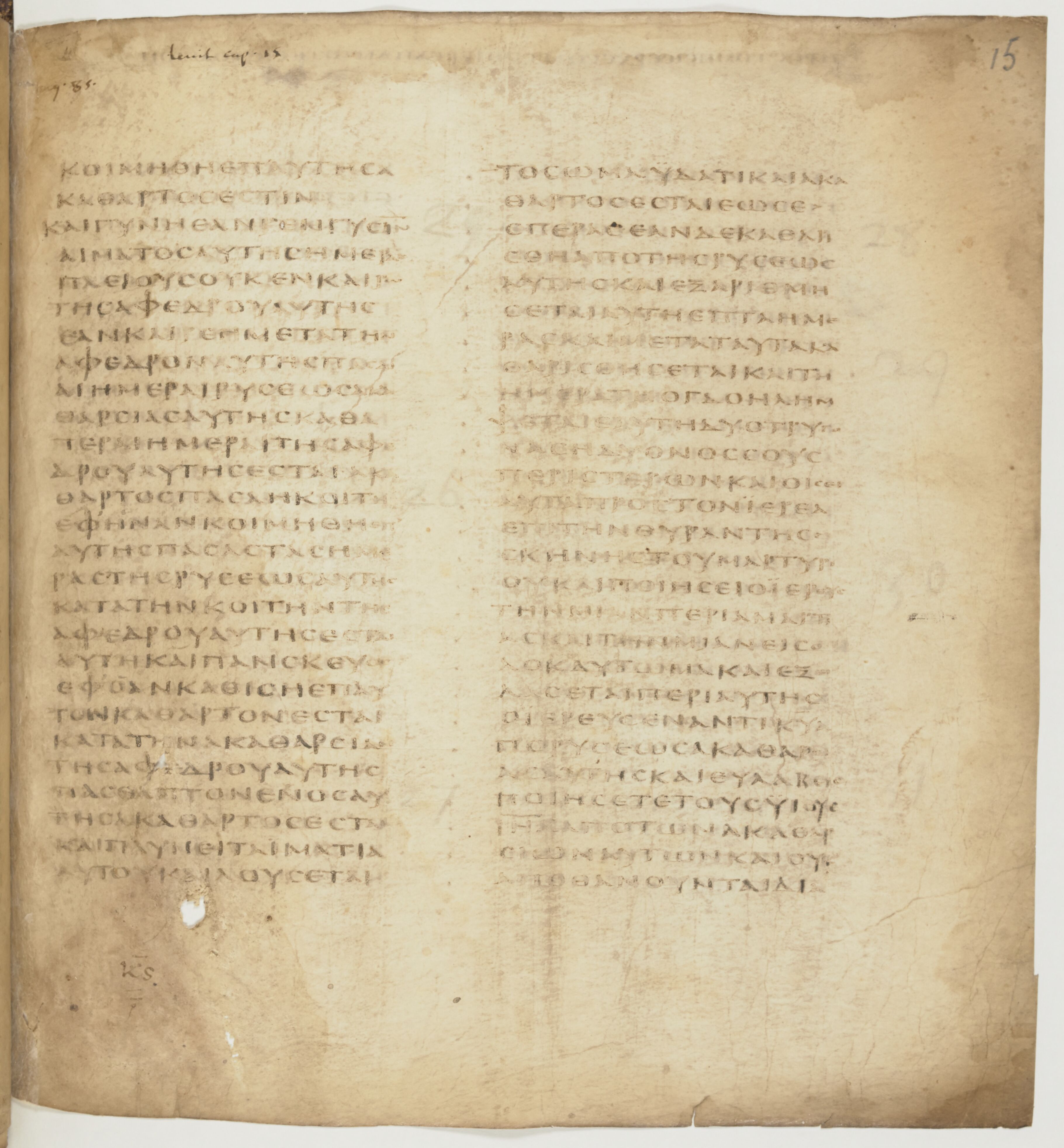 Codex Colberto-Sarravianus showing Leviticus 13:21 from Late 4th Century – Early 5th Century AD found in Egypt, currently housed at University Library, Leiden; Bibliothèque nationale de France, Paris; National Library of Russia, Saint Petersburg