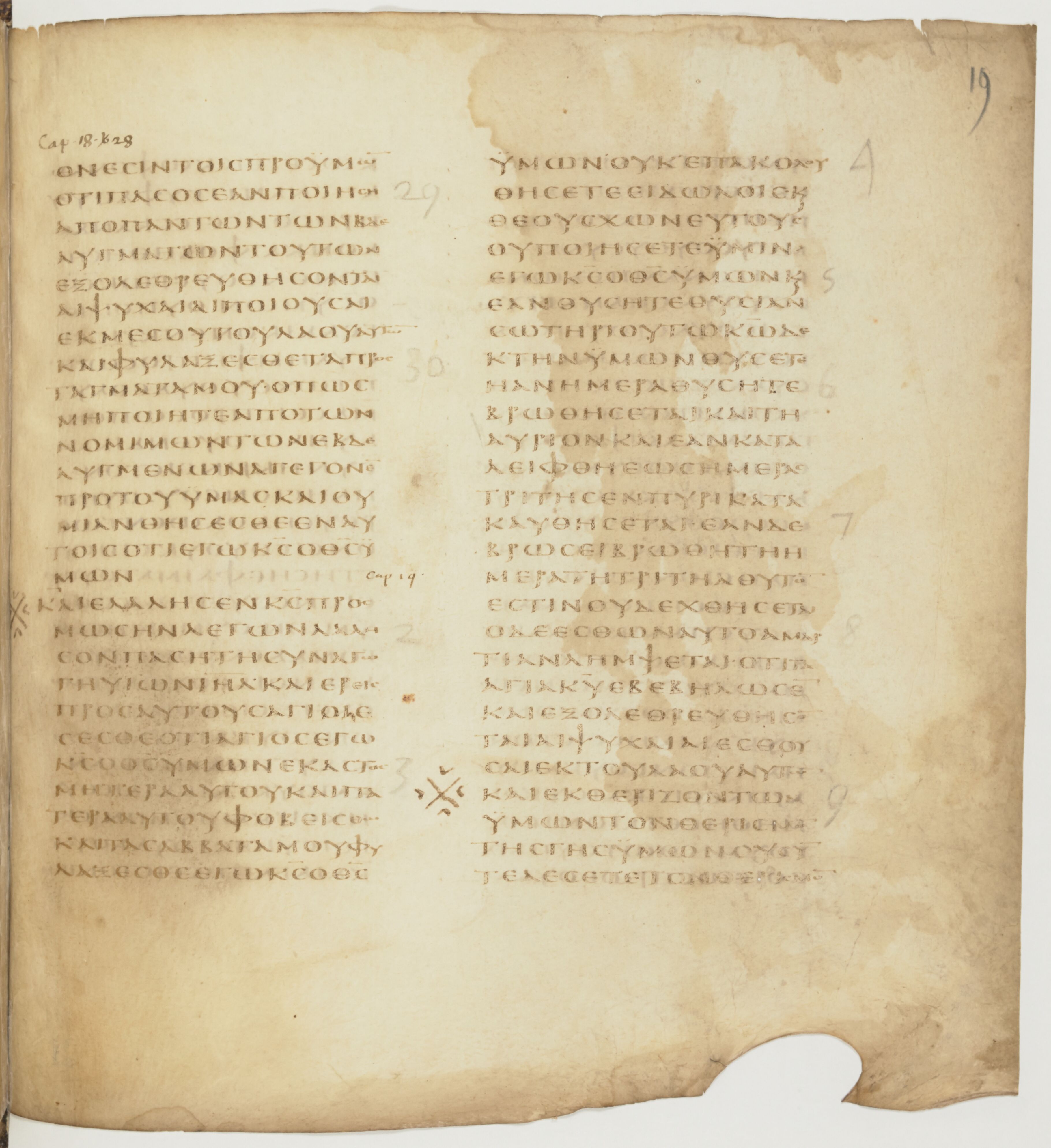 Codex Colberto-Sarravianus showing Leviticus 17:2 from Late 4th Century – Early 5th Century AD found in Egypt, currently housed at University Library, Leiden; Bibliothèque nationale de France, Paris; National Library of Russia, Saint Petersburg