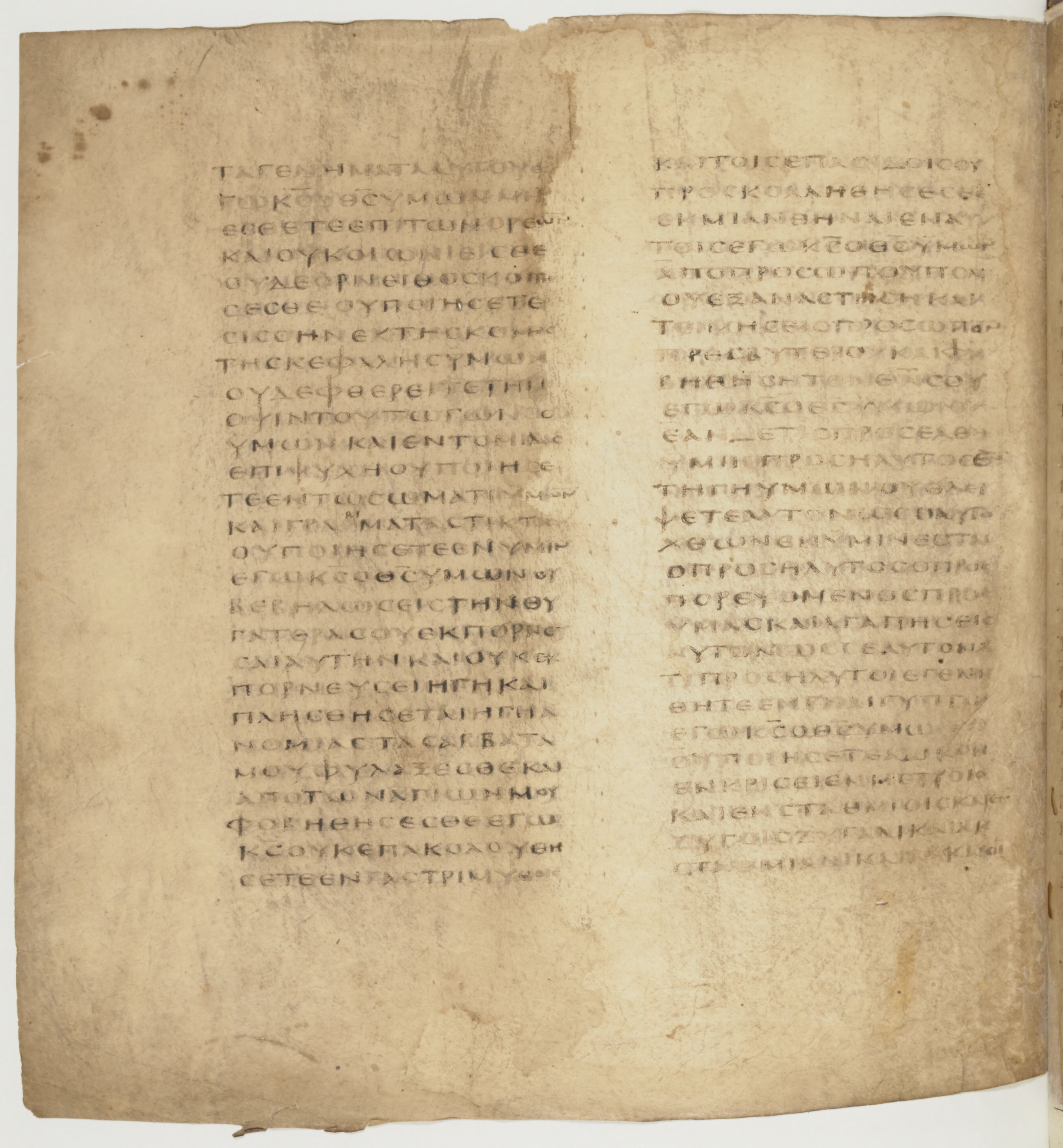 Codex Colberto-Sarravianus showing Leviticus 19:21 from Late 4th Century – Early 5th Century AD found in Egypt, currently housed at University Library, Leiden; Bibliothèque nationale de France, Paris; National Library of Russia, Saint Petersburg
