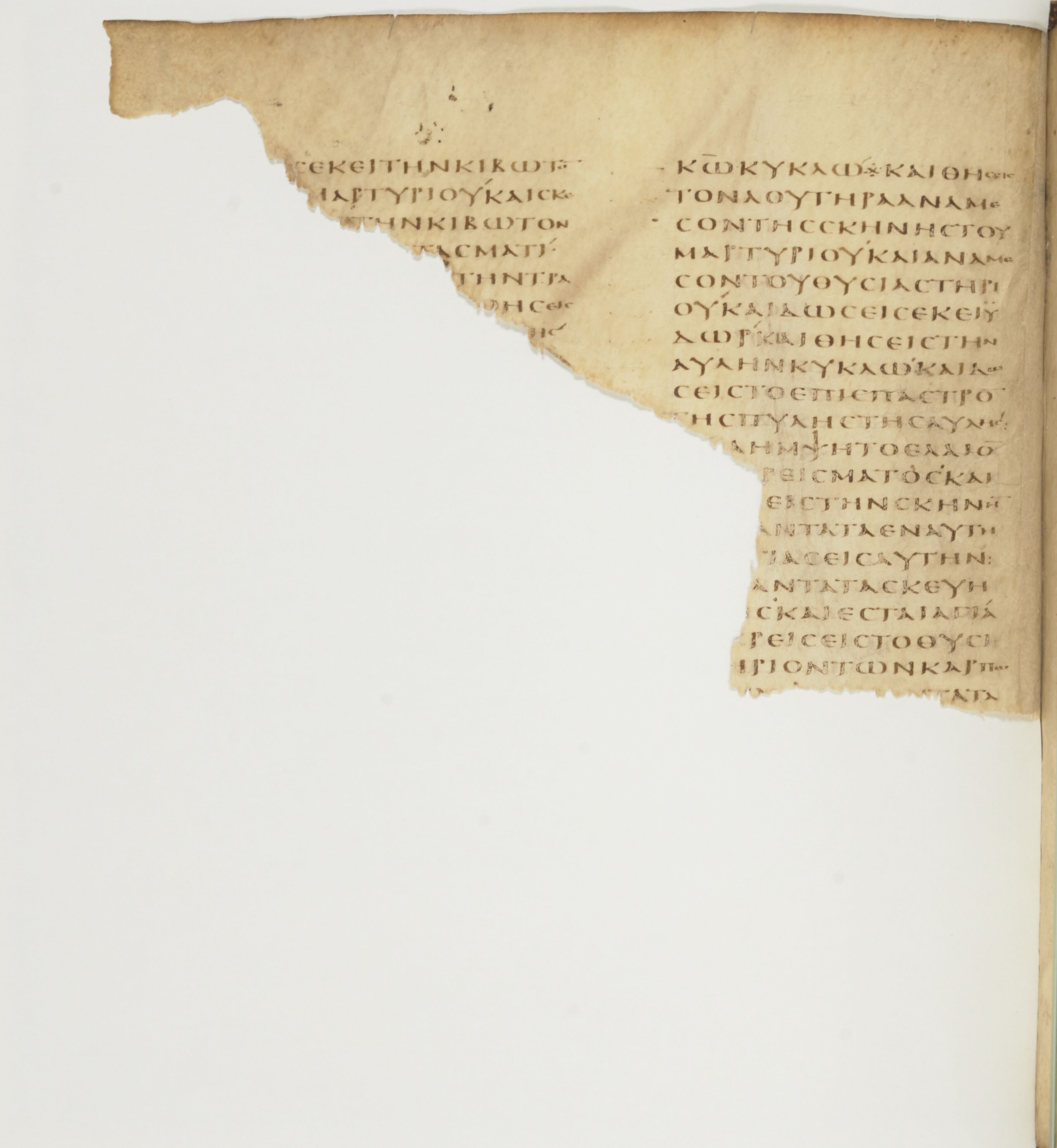 Codex Colberto-Sarravianus (Scan 5) showing Exodus 40:8 from Late 4th Century – Early 5th Century AD found in Egypt, currently housed at University Library, Leiden; Bibliothèque nationale de France, Paris; National Library of Russia, Saint Petersburg