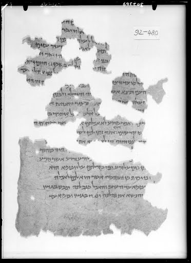 Masada Leviticus b showing Leviticus 4:32 from Late 1st Century BC - Early 1st Century AD found in Masada, Northern Palace area, currently housed at Israel Museum, Jerusalem