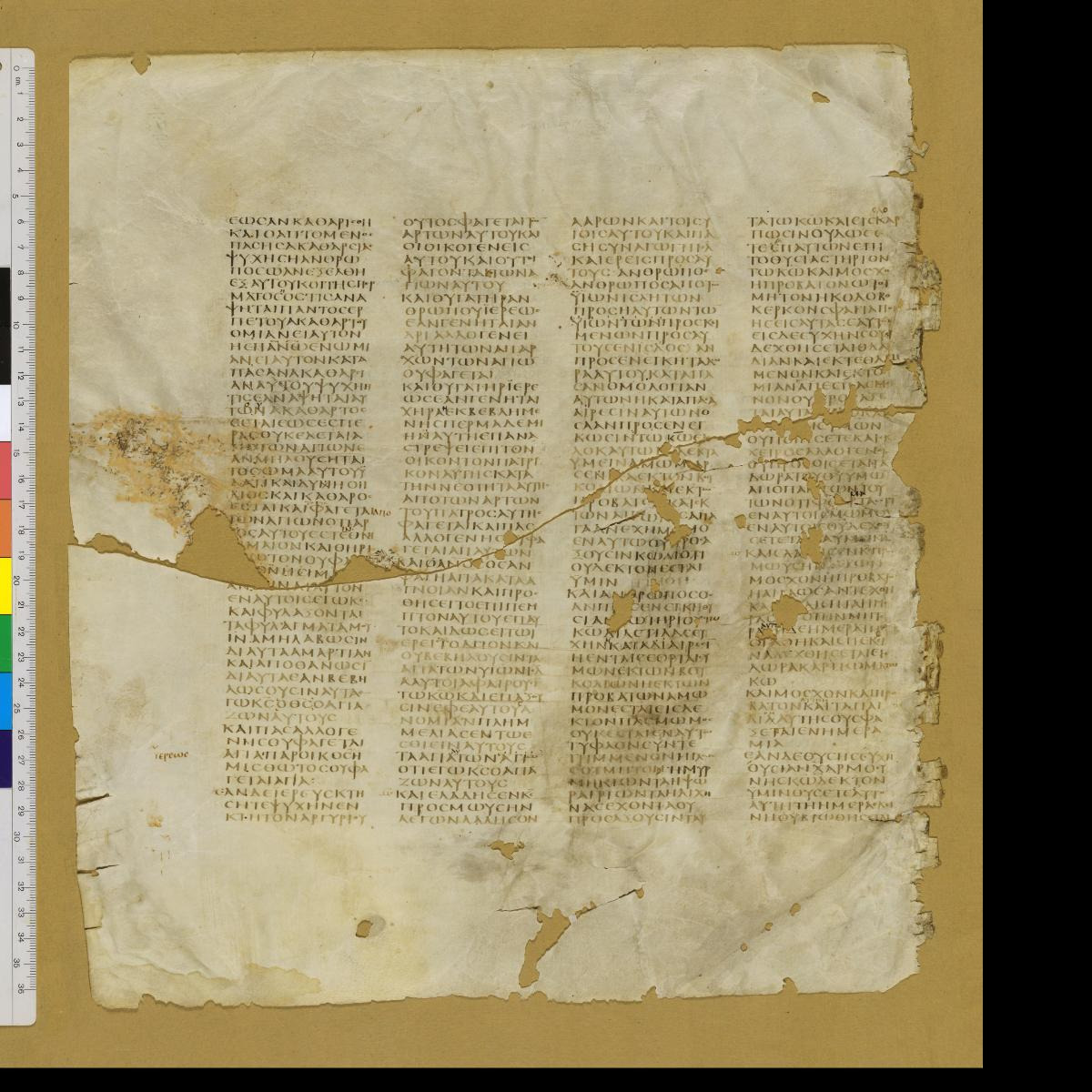 Codex Sinaiticus showing Leviticus 22:13 from 4th Century AD found in St. Catherine's Monastery, Sinai, Egypt, currently housed at British Library, London; Leipzig University Library; National Library of Russia; St. Catherine's Monastery