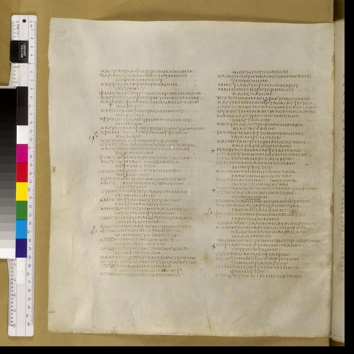 Codex Sinaiticus showing Sirach 41:13 from 4th Century AD found in St. Catherine's Monastery, Sinai, Egypt, currently housed at British Library, London; Leipzig University Library; National Library of Russia; St. Catherine's Monastery