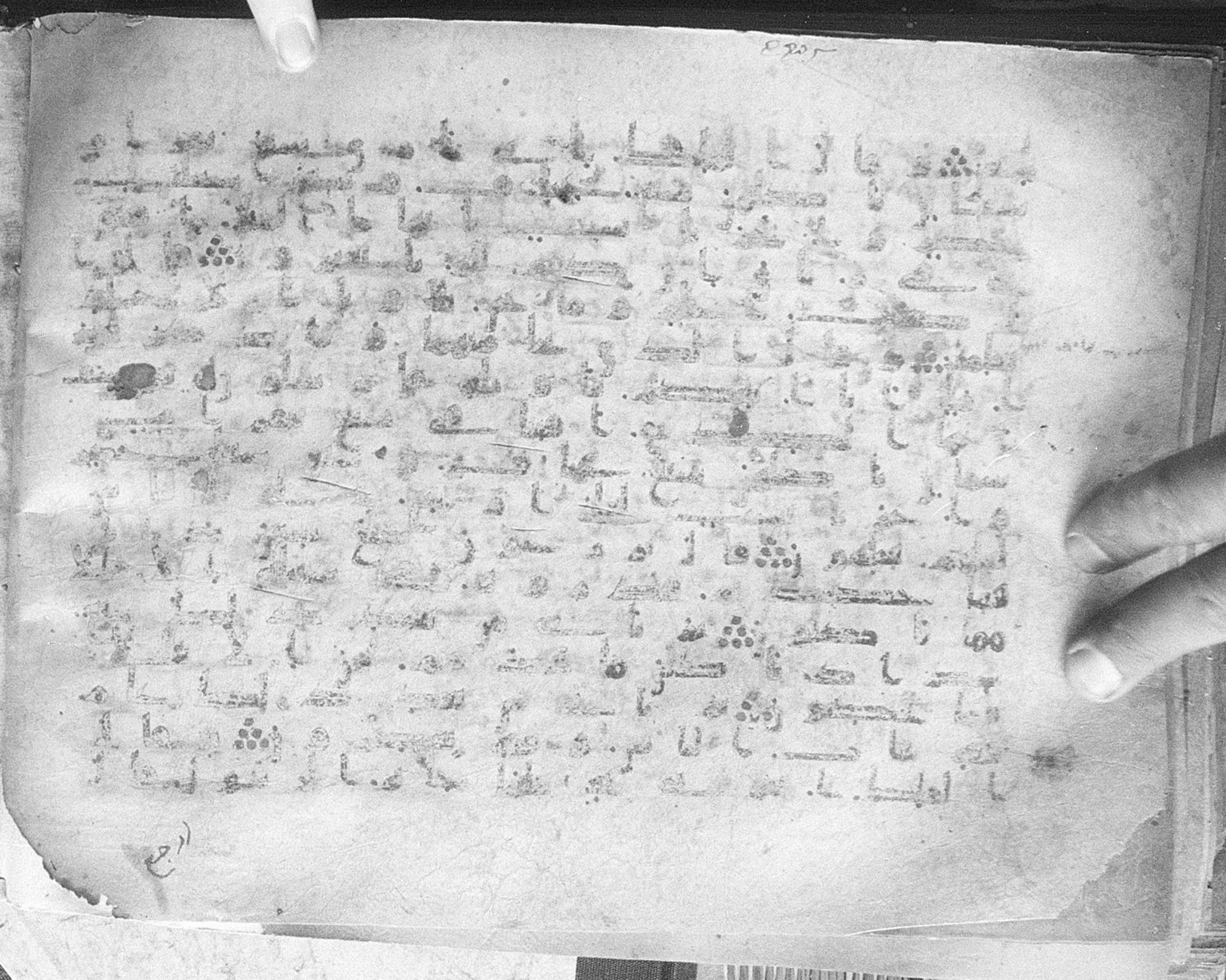 Meknes, Private library of Sherif ʿAbdarraḥmān b. Zīdān, no call number (Scan 1), in kūfī (type C.I) script, showing Surah 12:49 from 8th Century AD found in Meknes, Morocco, currently housed at Private library of Sherif ʿAbdarraḥmān b. Zīdān, Meknes (with fragments in Rabat, Kuwait, and private collections)