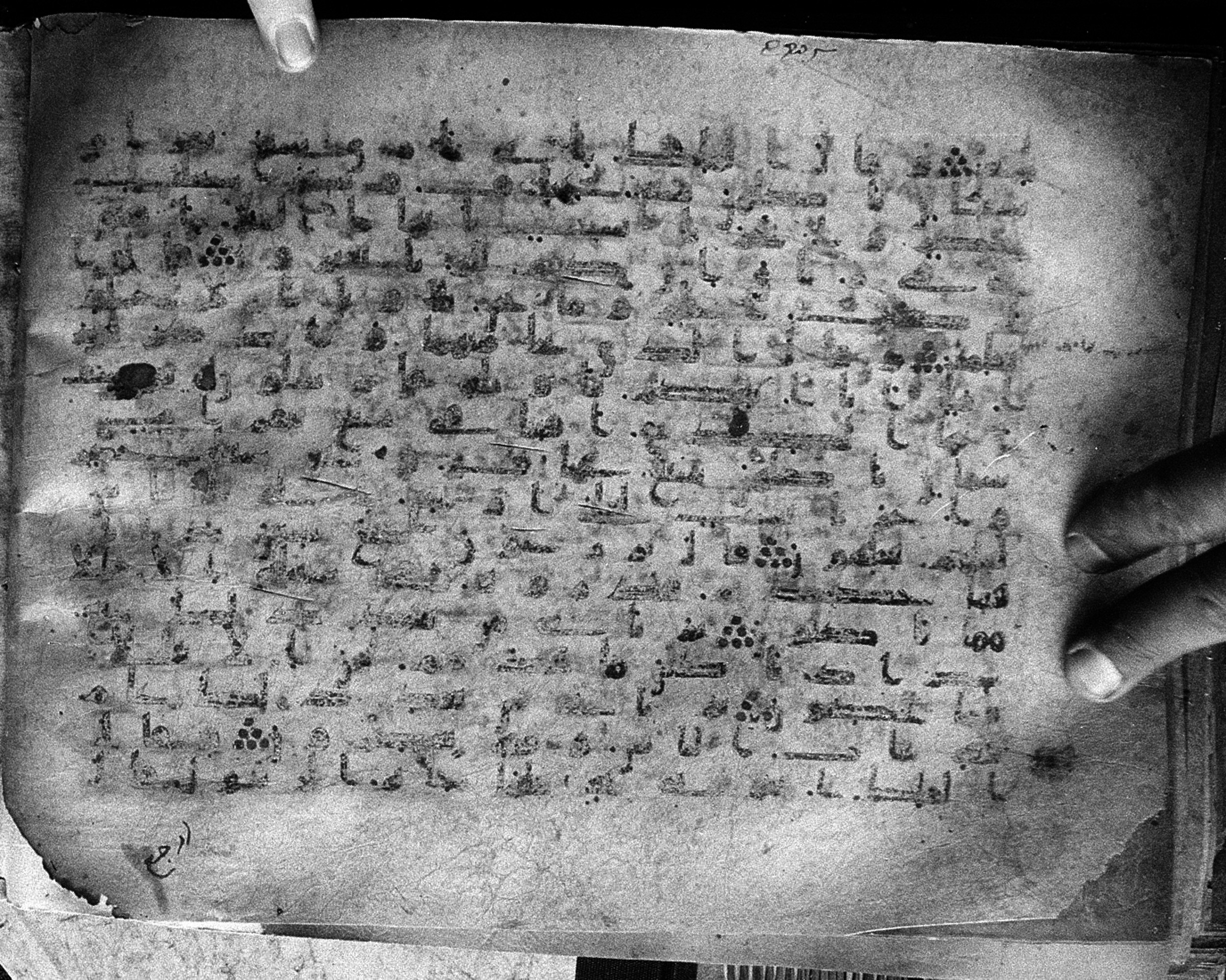 Meknes, Private library of Sherif ʿAbdarraḥmān b. Zīdān, no call number (Scan 3), in kūfī (type C.I) script, showing Surah 12:49 from 8th Century AD found in Meknes, Morocco, currently housed at Private library of Sherif ʿAbdarraḥmān b. Zīdān, Meknes (with fragments in Rabat, Kuwait, and private collections)