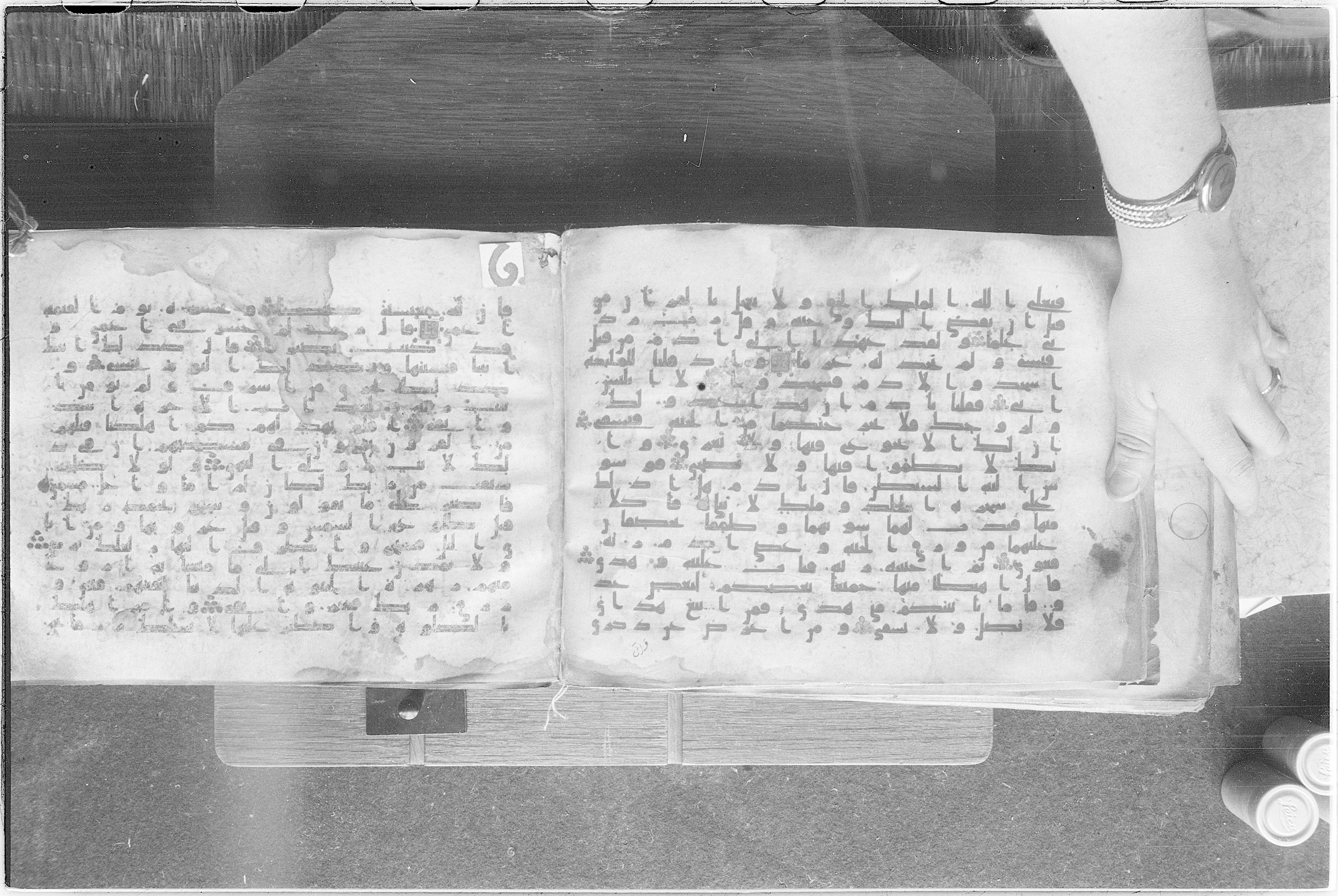Meknes, Private library of Sherif ʿAbdarraḥmān b. Zīdān, no call number (Scan 2), in kūfī (type C.I) script, showing Surah 20:116 from 8th Century AD found in Meknes, Morocco, currently housed at Private library of Sherif ʿAbdarraḥmān b. Zīdān, Meknes (with fragments in Rabat, Kuwait, and private collections)