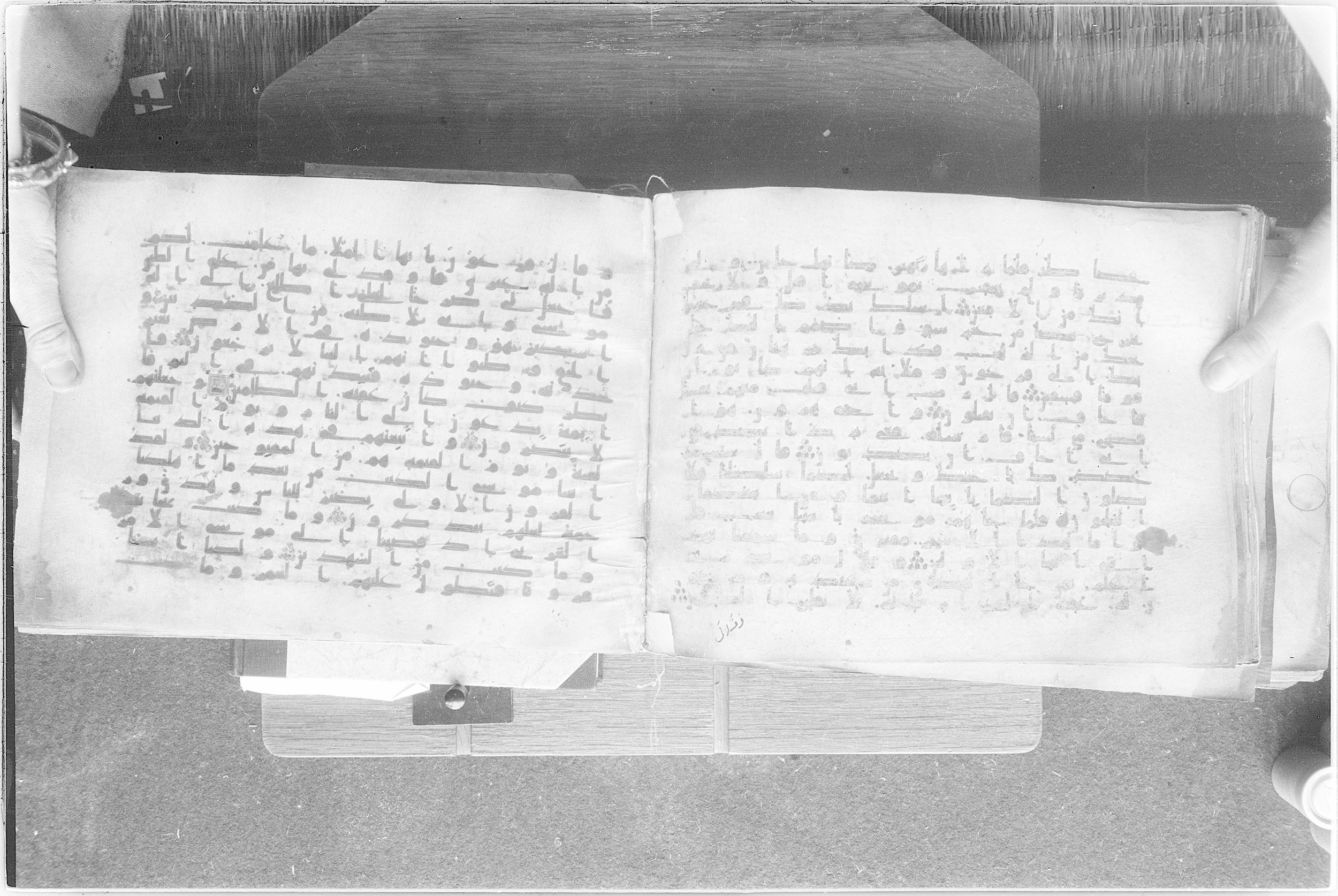 Meknes, Private library of Sherif ʿAbdarraḥmān b. Zīdān, no call number (Scan 2), in kūfī (type C.I) script, showing Surah 28:32 from 8th Century AD found in Meknes, Morocco, currently housed at Private library of Sherif ʿAbdarraḥmān b. Zīdān, Meknes (with fragments in Rabat, Kuwait, and private collections)