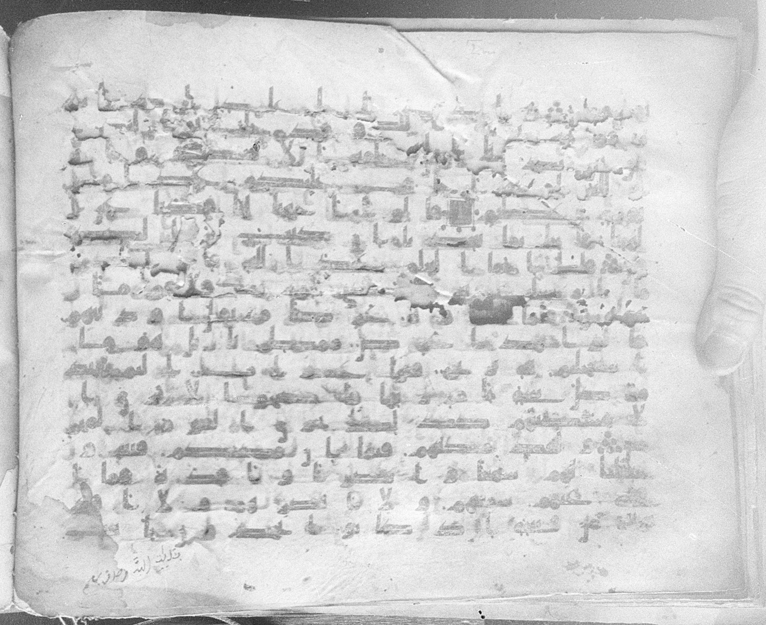 Meknes, Private library of Sherif ʿAbdarraḥmān b. Zīdān, no call number (Scan 1), in kūfī (type C.I) script, showing Surah 46:23 from 8th Century AD found in Meknes, Morocco, currently housed at Private library of Sherif ʿAbdarraḥmān b. Zīdān, Meknes (with fragments in Rabat, Kuwait, and private collections)