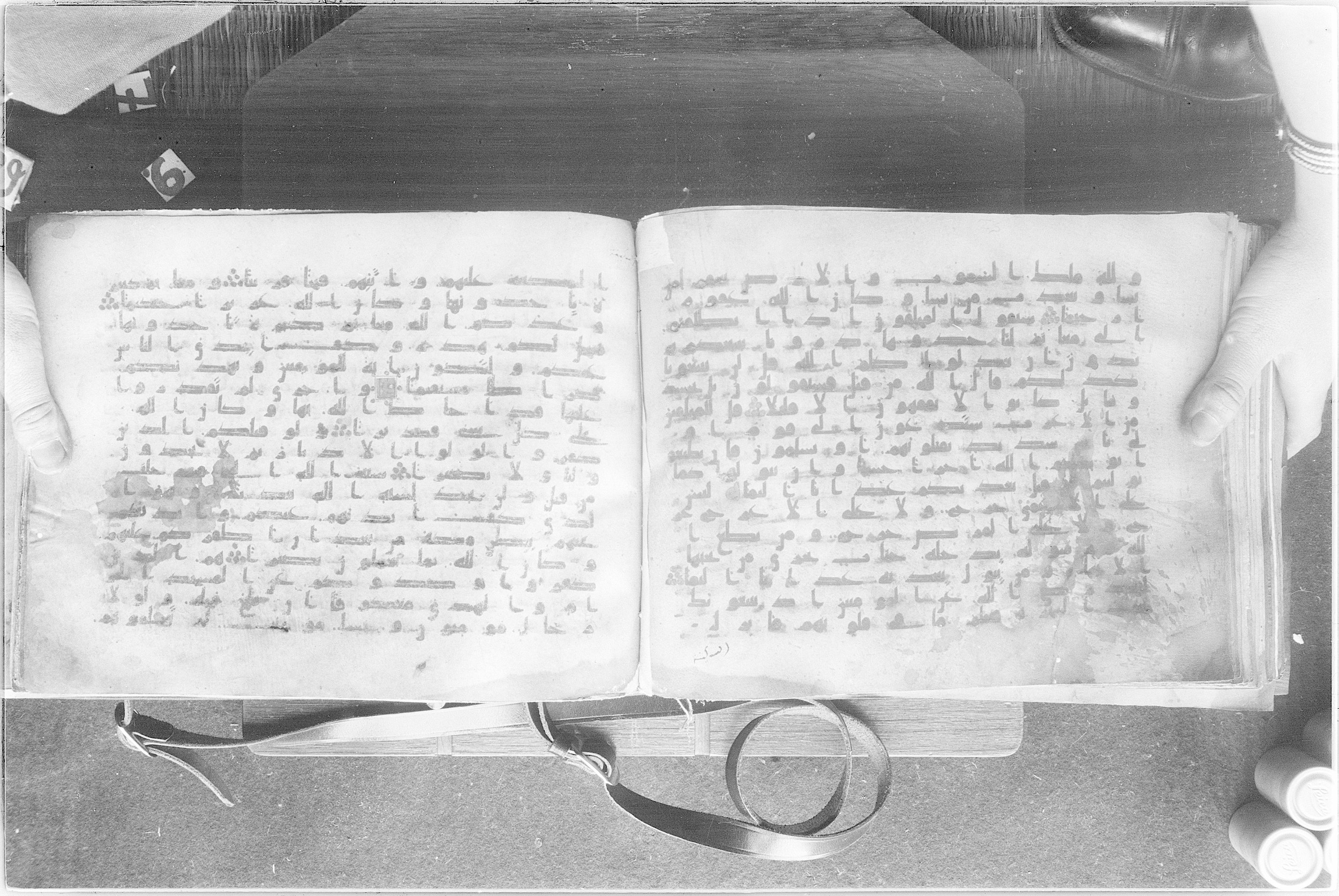 Meknes, Private library of Sherif ʿAbdarraḥmān b. Zīdān, no call number (Scan 2), in kūfī (type C.I) script, showing Surah 48:18 from 8th Century AD found in Meknes, Morocco, currently housed at Private library of Sherif ʿAbdarraḥmān b. Zīdān, Meknes (with fragments in Rabat, Kuwait, and private collections)