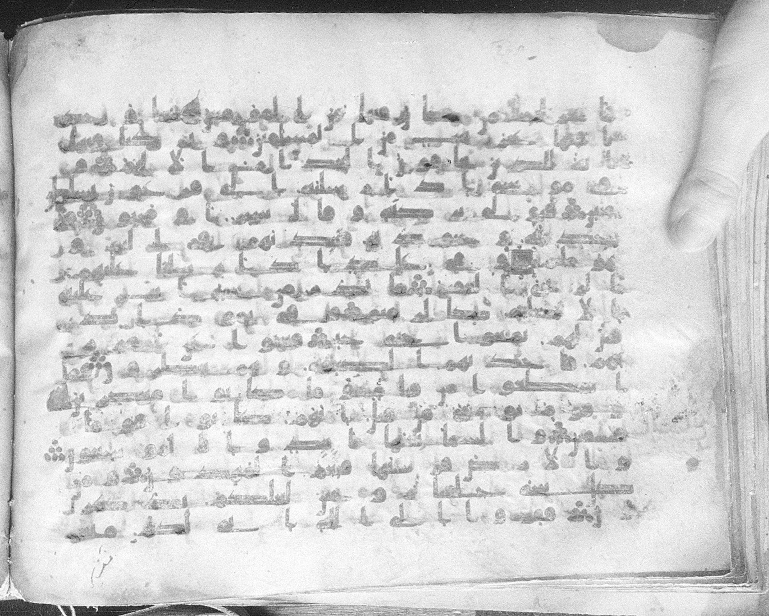 Meknes, Private library of Sherif ʿAbdarraḥmān b. Zīdān, no call number (Scan 1), in kūfī (type C.I) script, showing Surah 51:41 from 8th Century AD found in Meknes, Morocco, currently housed at Private library of Sherif ʿAbdarraḥmān b. Zīdān, Meknes (with fragments in Rabat, Kuwait, and private collections)