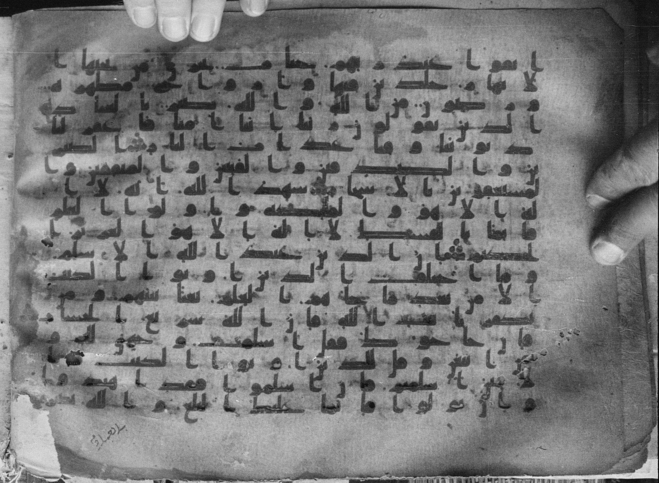 Meknes, Private library of Sherif ʿAbdarraḥmān b. Zīdān, no call number (Scan 1), in kūfī (type C.I) script, showing Surah 3:16 from 8th Century AD found in Meknes, Morocco, currently housed at Private library of Sherif ʿAbdarraḥmān b. Zīdān, Meknes (with fragments in Rabat, Kuwait, and private collections)