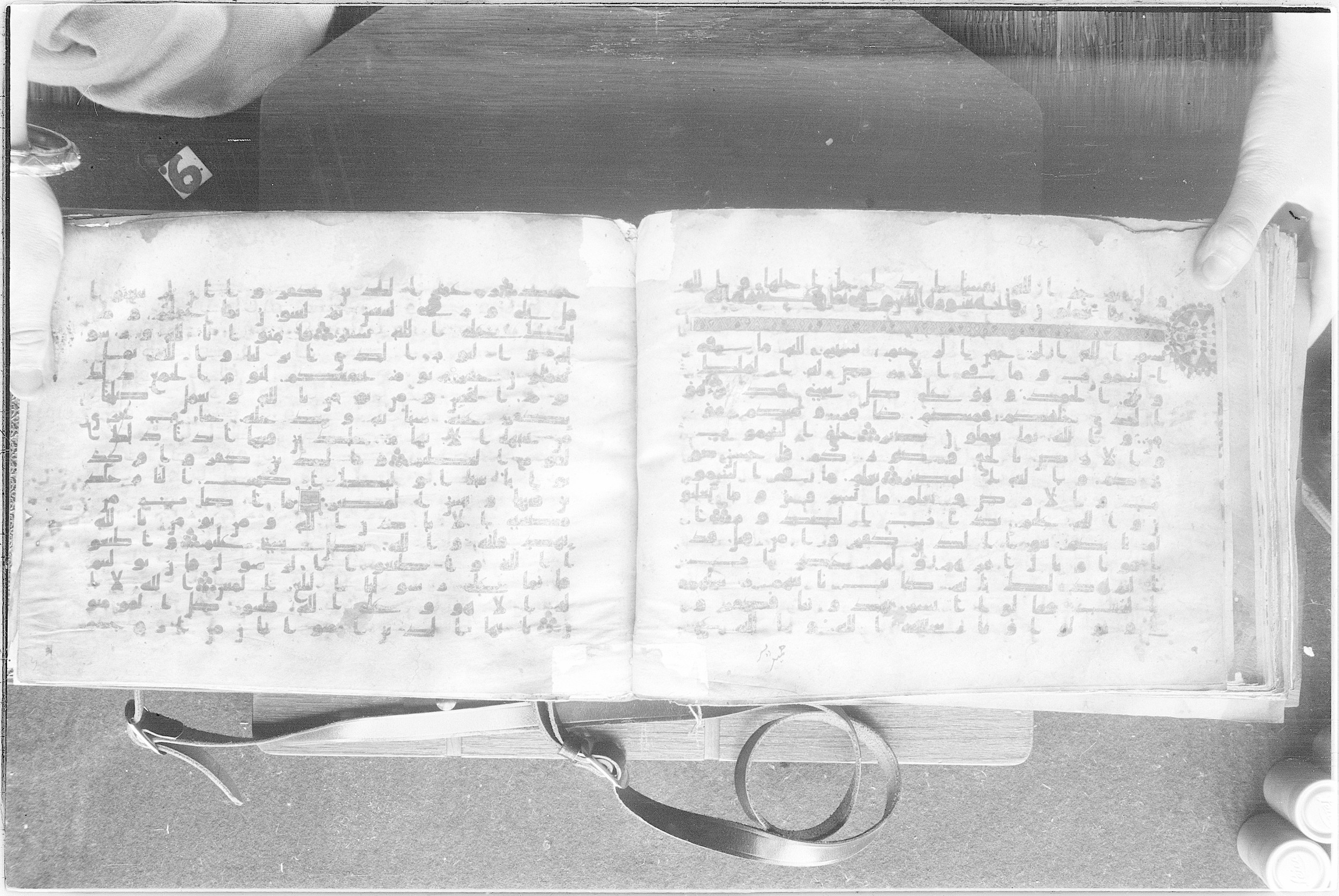 Meknes, Private library of Sherif ʿAbdarraḥmān b. Zīdān, no call number (Scan 2), in kūfī (type C.I) script, showing Surah 64:2 from 8th Century AD found in Meknes, Morocco, currently housed at Private library of Sherif ʿAbdarraḥmān b. Zīdān, Meknes (with fragments in Rabat, Kuwait, and private collections)