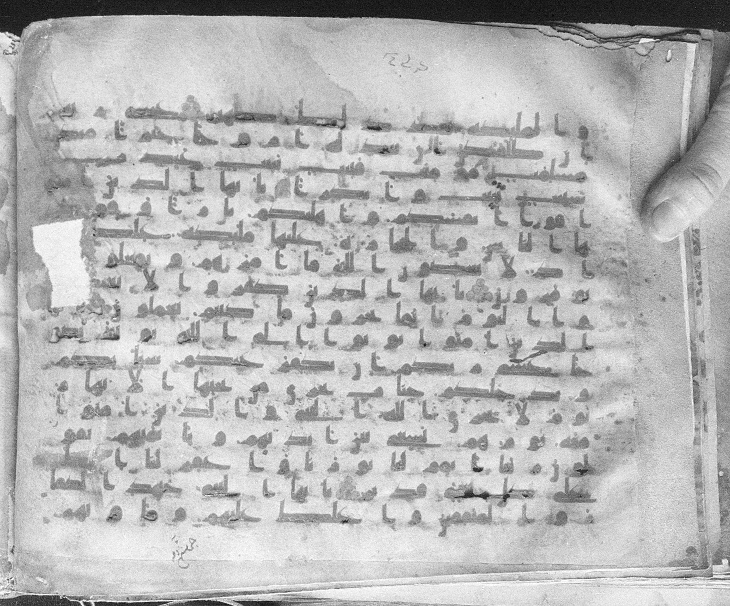Meknes, Private library of Sherif ʿAbdarraḥmān b. Zīdān, no call number (Scan 1), in kūfī (type C.I) script, showing Surah 66:7 from 8th Century AD found in Meknes, Morocco, currently housed at Private library of Sherif ʿAbdarraḥmān b. Zīdān, Meknes (with fragments in Rabat, Kuwait, and private collections)
