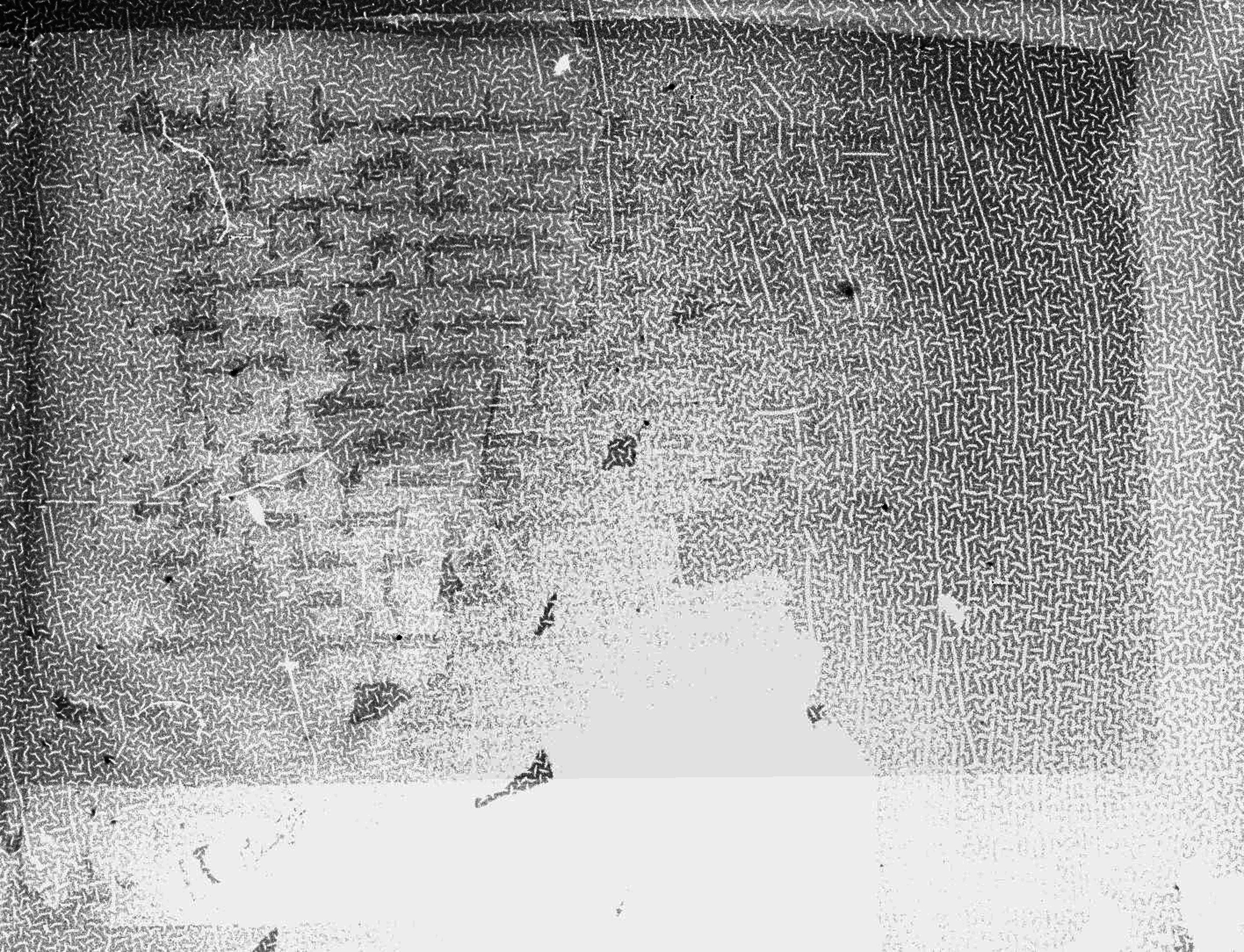 Meknes, Private library of Sherif ʿAbdarraḥmān b. Zīdān, no call number (Scan 5), in kūfī (type C.I) script, showing Surah 2:49 from 8th Century AD found in Meknes, Morocco, currently housed at Private library of Sherif ʿAbdarraḥmān b. Zīdān, Meknes (with fragments in Rabat, Kuwait, and private collections)