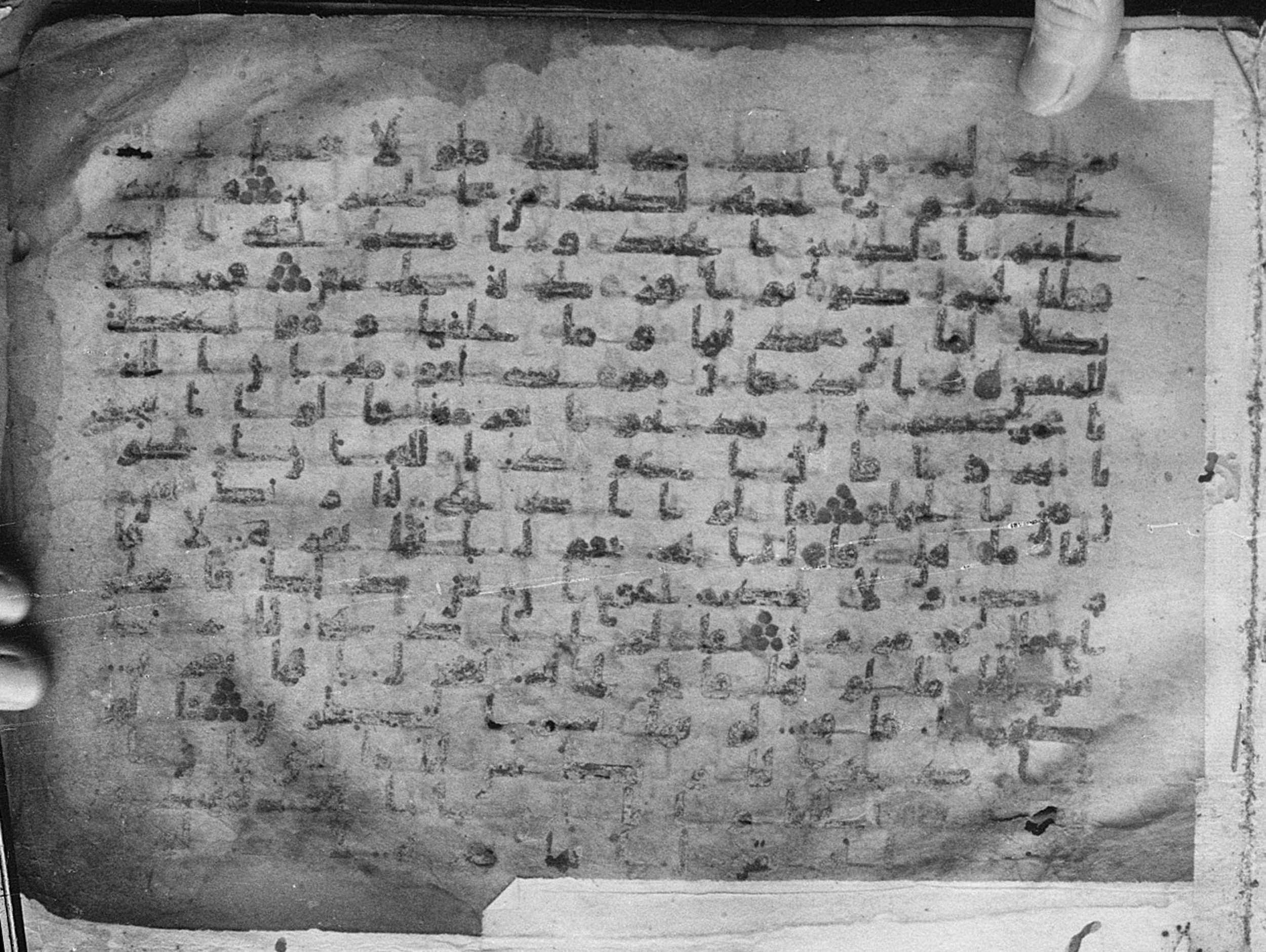 Meknes, Private library of Sherif ʿAbdarraḥmān b. Zīdān, no call number (Scan 1), in kūfī (type C.I) script, showing Surah 2:71 from 8th Century AD found in Meknes, Morocco, currently housed at Private library of Sherif ʿAbdarraḥmān b. Zīdān, Meknes (with fragments in Rabat, Kuwait, and private collections)
