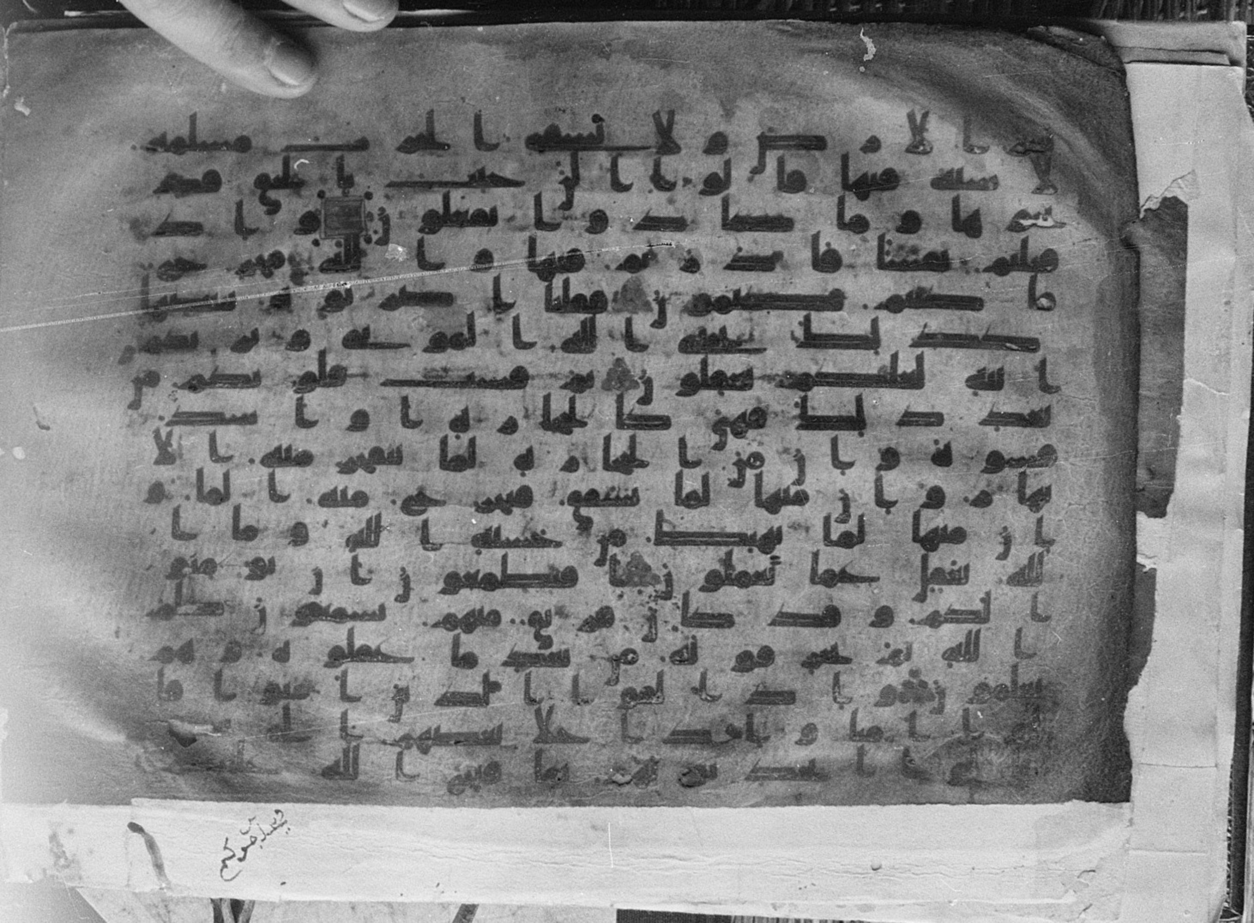 Meknes, Private library of Sherif ʿAbdarraḥmān b. Zīdān, no call number (Scan 2), in kūfī (type C.I) script, showing Surah 2:71 from 8th Century AD found in Meknes, Morocco, currently housed at Private library of Sherif ʿAbdarraḥmān b. Zīdān, Meknes (with fragments in Rabat, Kuwait, and private collections)