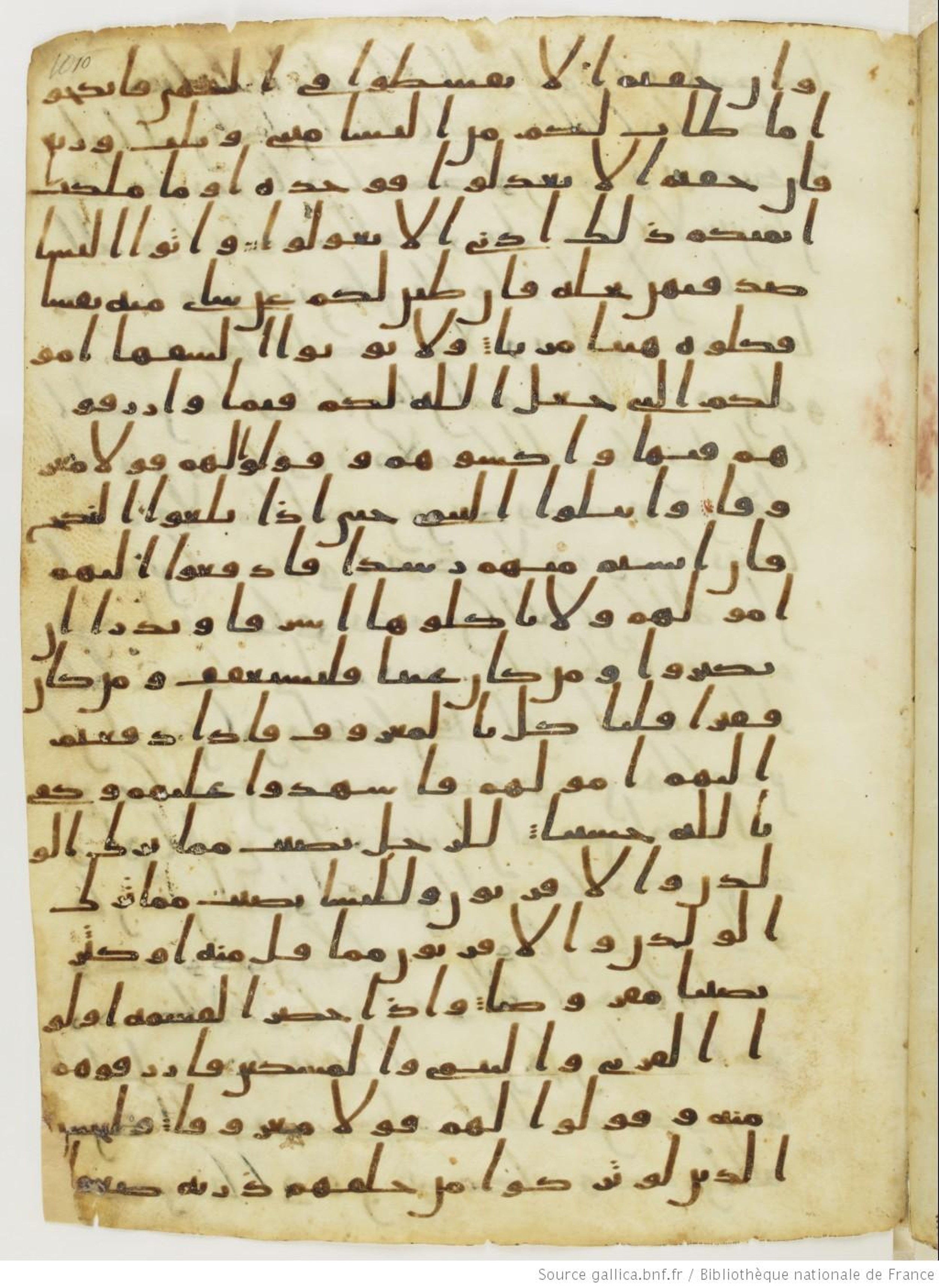 London, The British Library, Or. 2165 (Scan 2), in ḥiǧāzī II script, showing Surah 4:7 from Mid 7th to Mid 8th Century AD found in Fustat (Old Cairo), Egypt, currently housed at The British Library, London