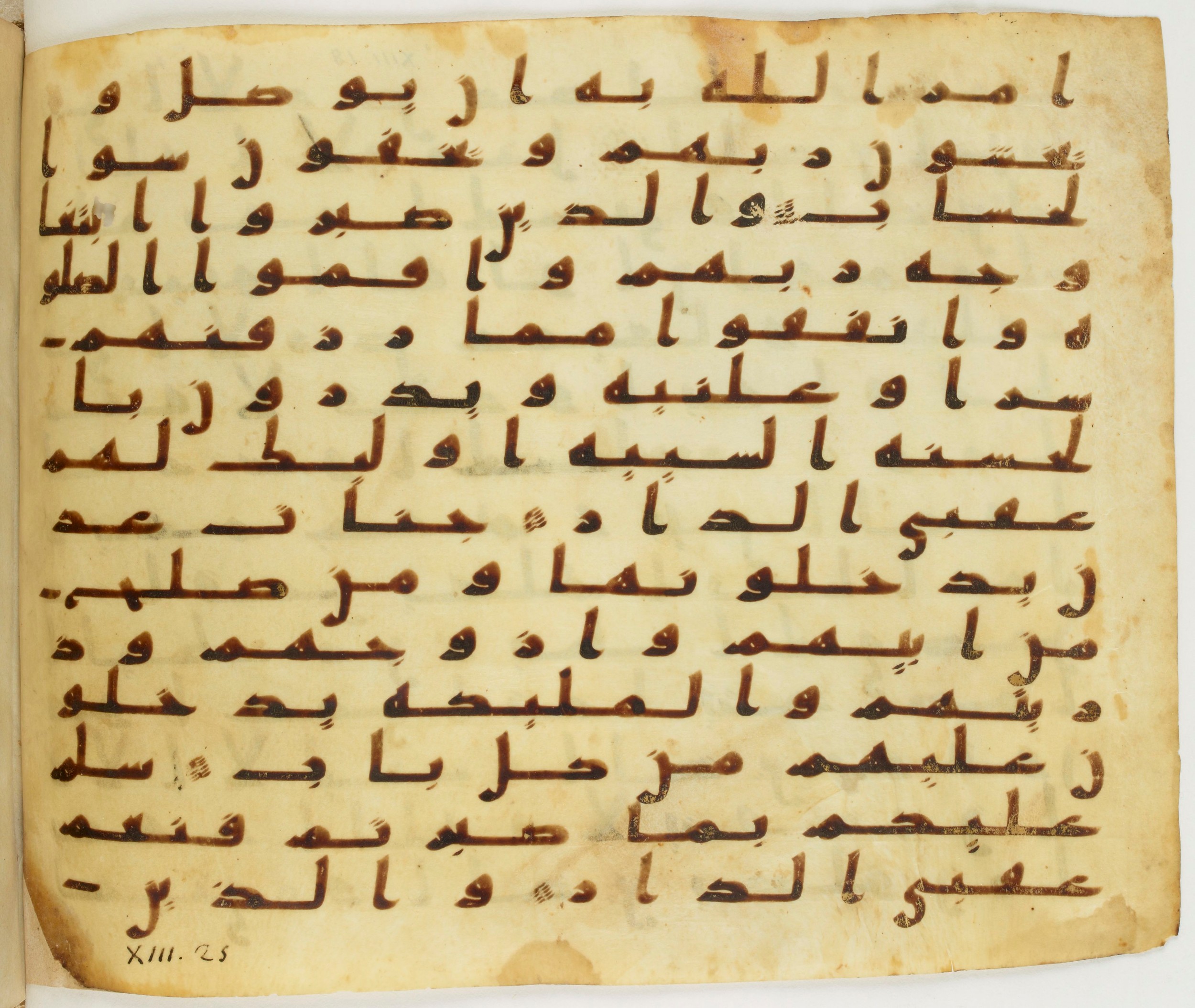 London, The British Library, Or. 2165 (Scan 1), in ḥiǧāzī II script, showing Surah 13:23 from Mid 7th to Mid 8th Century AD found in Fustat (Old Cairo), Egypt, currently housed at The British Library, London
