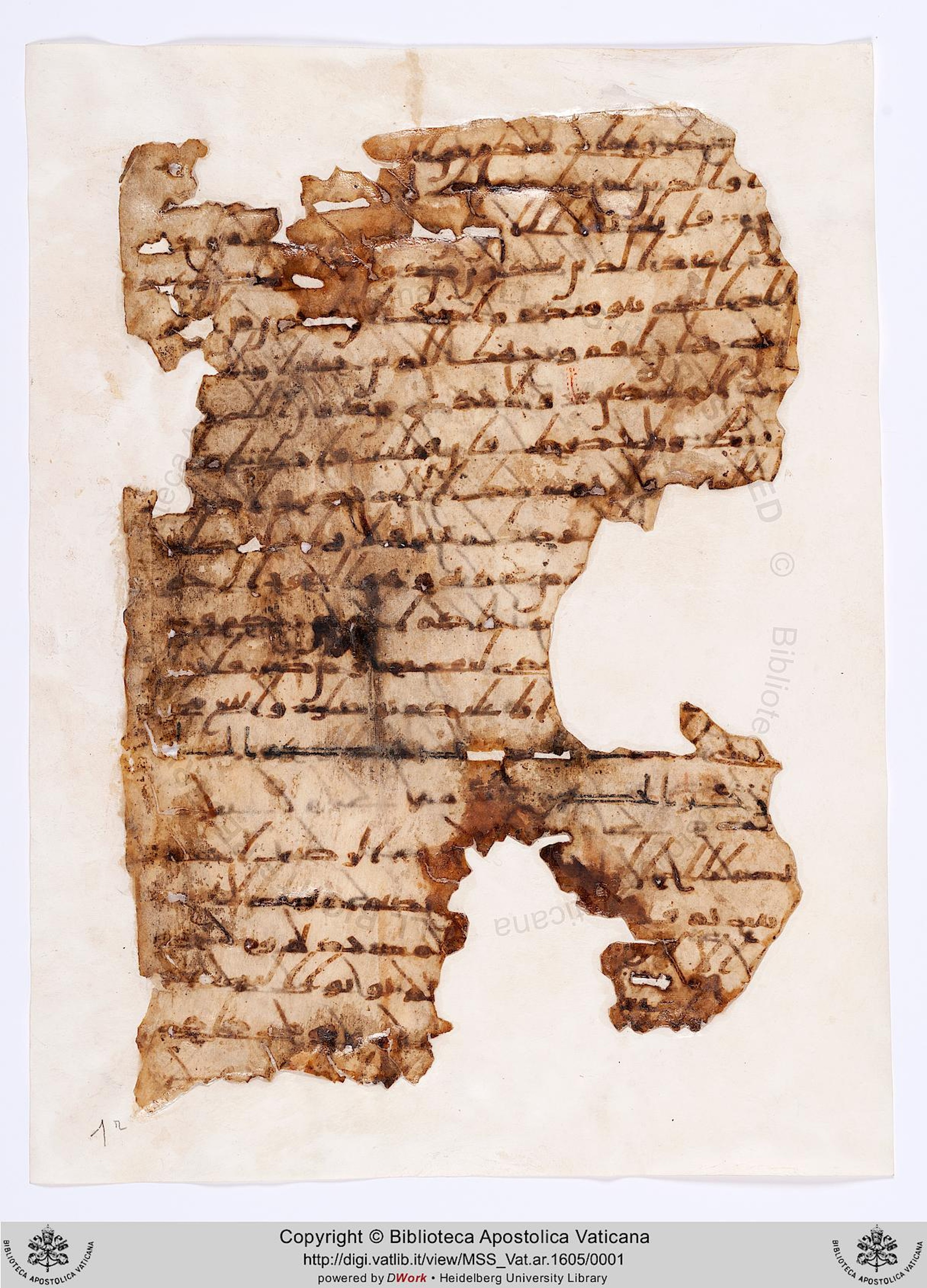 London, The British Library, Or. 2165 (Scan 1), in ḥiǧāzī II script, showing Surah 11:2 from Mid 7th to Mid 8th Century AD found in Fustat (Old Cairo), Egypt, currently housed at The British Library, London