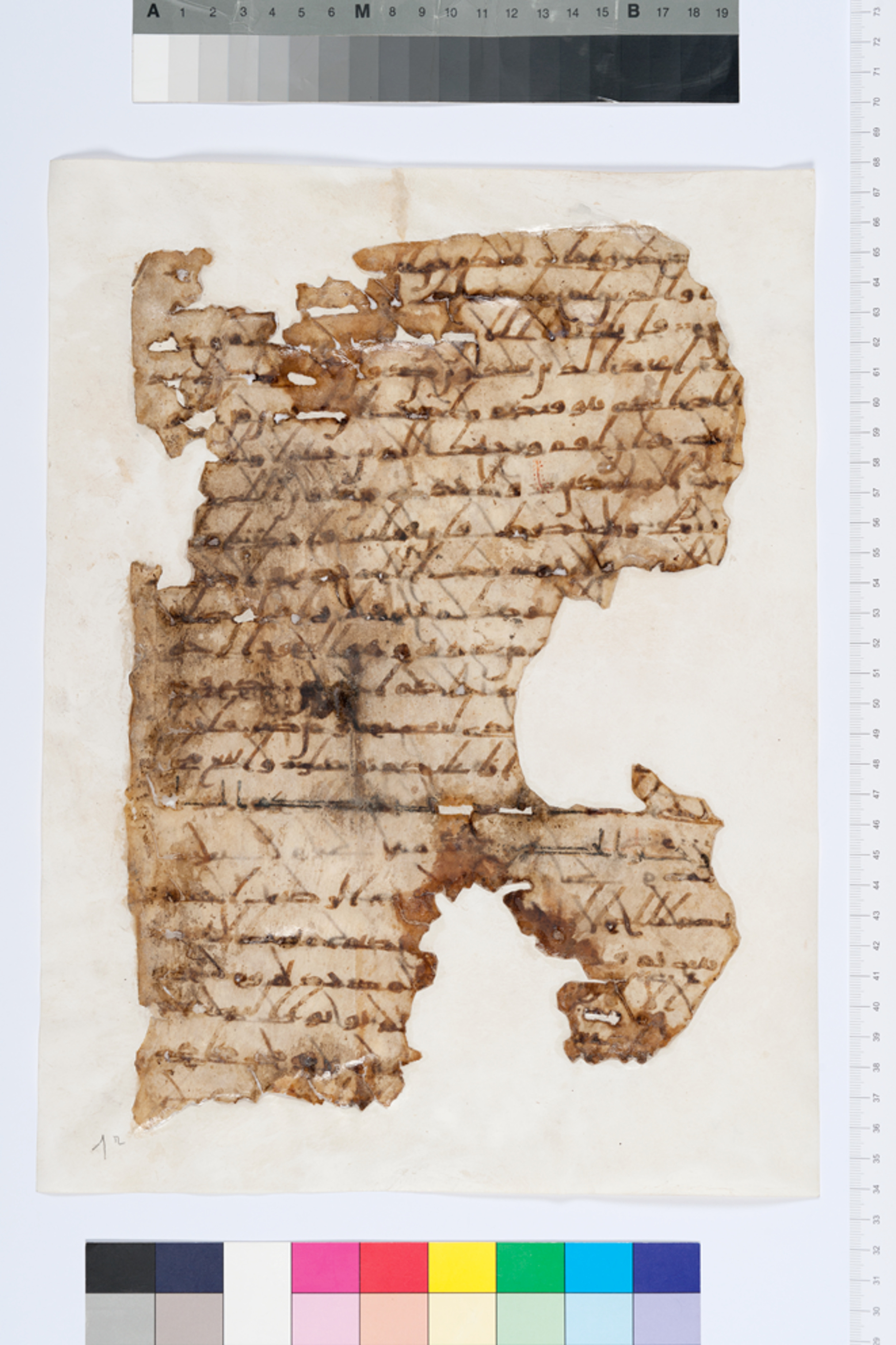 London, The British Library, Or. 2165 (Scan 2), in ḥiǧāzī II script, showing Surah 11:2 from Mid 7th to Mid 8th Century AD found in Fustat (Old Cairo), Egypt, currently housed at The British Library, London