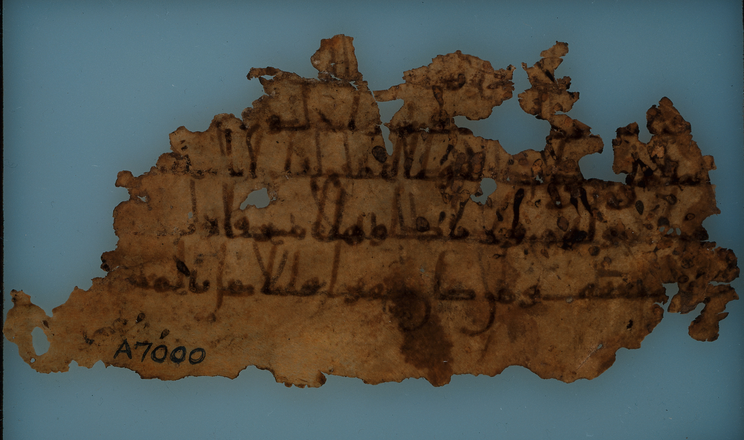 London, The British Library, Or. 2165 (Scan 3), in ḥiǧāzī II script, showing Surah 4:5 from Mid 7th to Mid 8th Century AD found in Fustat (Old Cairo), Egypt, currently housed at The British Library, London