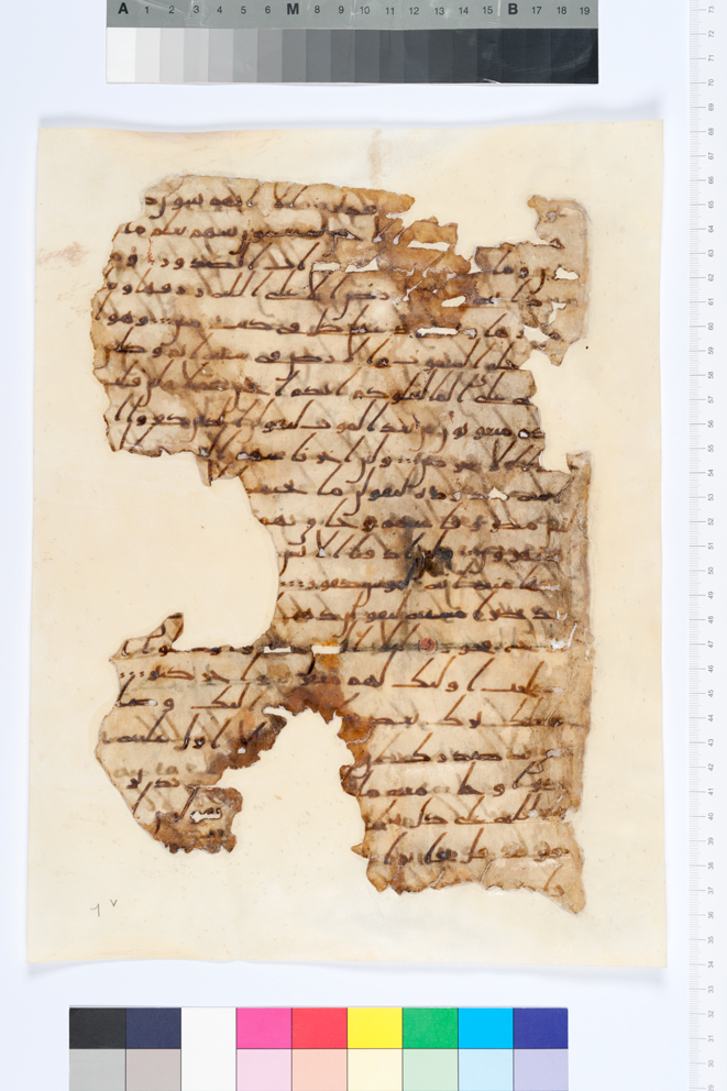 London, The British Library, Or. 2165 (Scan 4), in ḥiǧāzī II script, showing Surah 11:4 from Mid 7th to Mid 8th Century AD found in Fustat (Old Cairo), Egypt, currently housed at The British Library, London