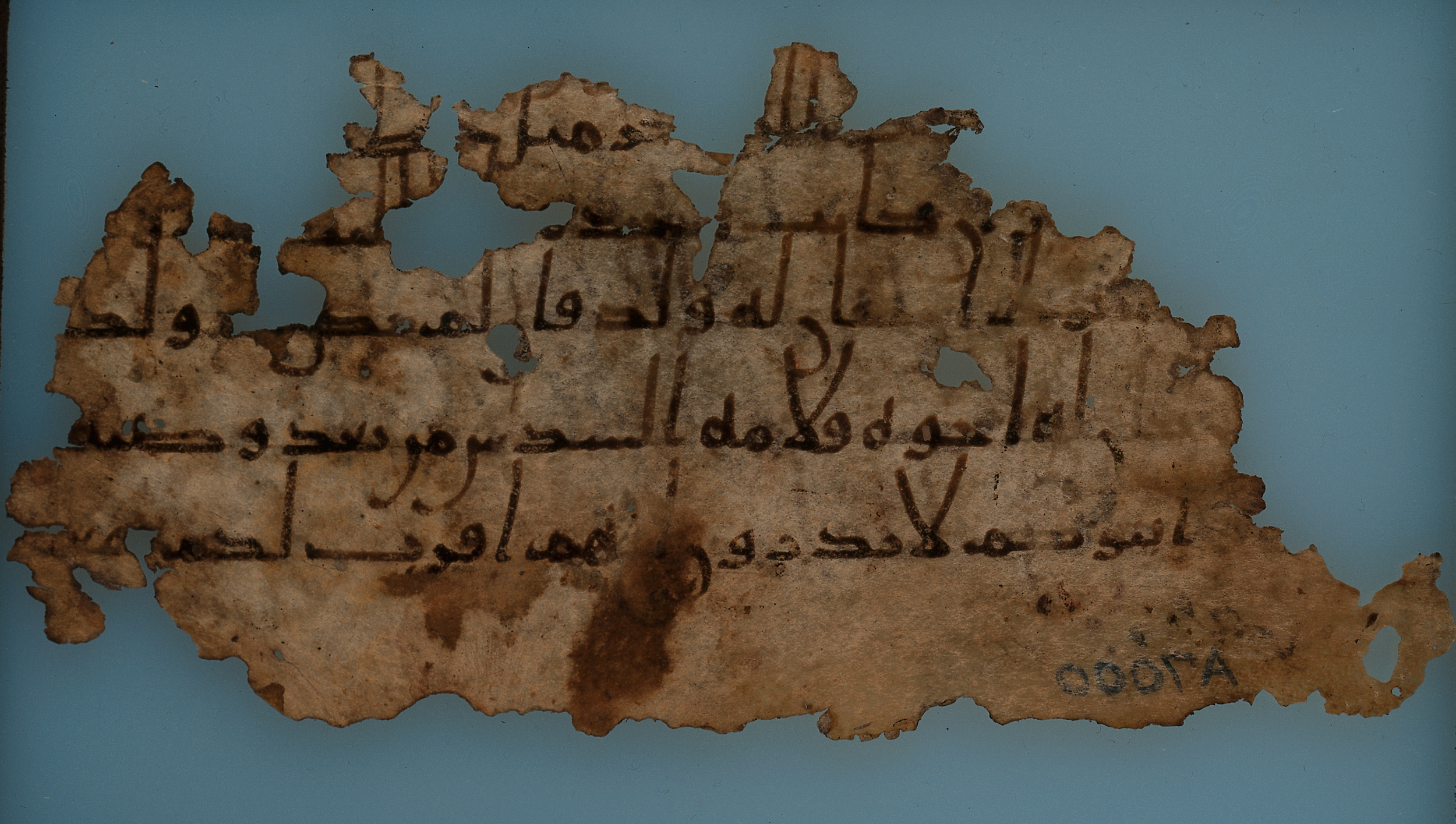 London, The British Library, Or. 2165 (Scan 3), in ḥiǧāzī II script, showing Surah 4:11 from Mid 7th to Mid 8th Century AD found in Fustat (Old Cairo), Egypt, currently housed at The British Library, London
