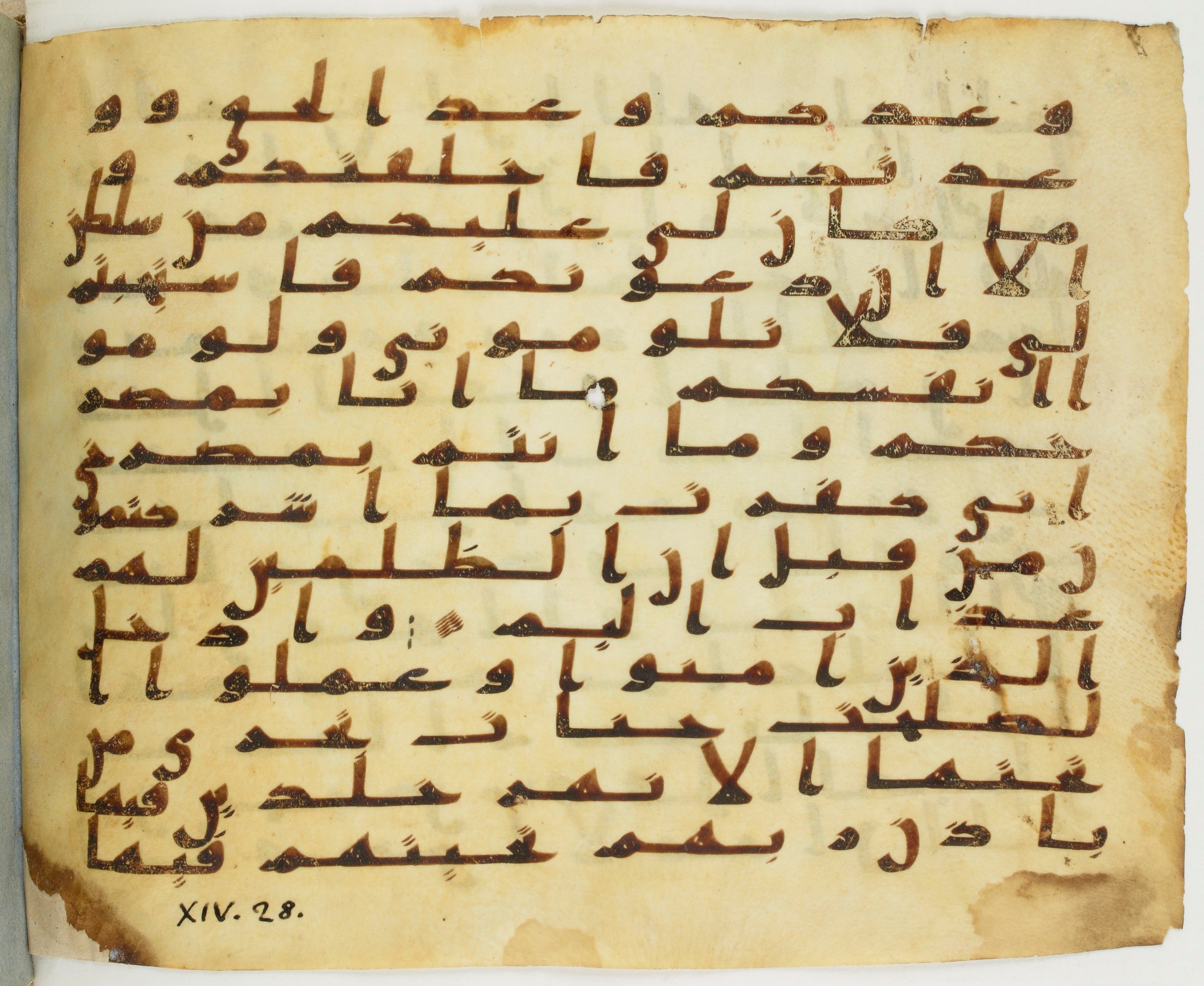 London, The British Library, Or. 2165 (Scan 1), in ḥiǧāzī II script, showing Surah 14:23 from Mid 7th to Mid 8th Century AD found in Fustat (Old Cairo), Egypt, currently housed at The British Library, London