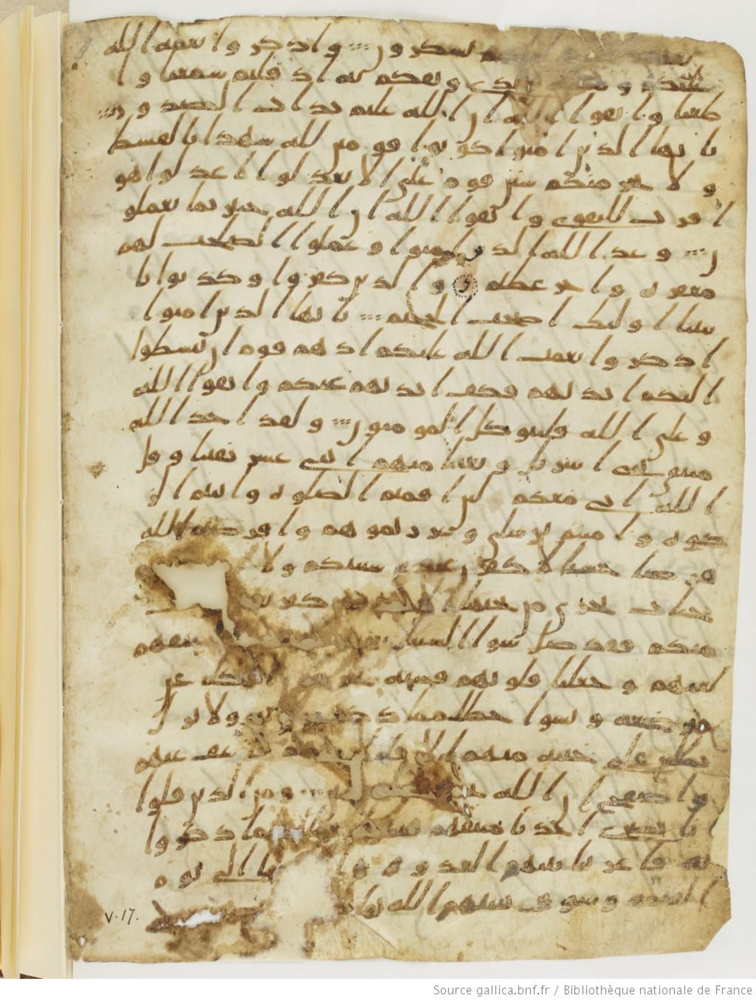 London, The British Library, Or. 2165 (Scan 2), in ḥiǧāzī II script, showing Surah 5:7 from Mid 7th to Mid 8th Century AD found in Fustat (Old Cairo), Egypt, currently housed at The British Library, London
