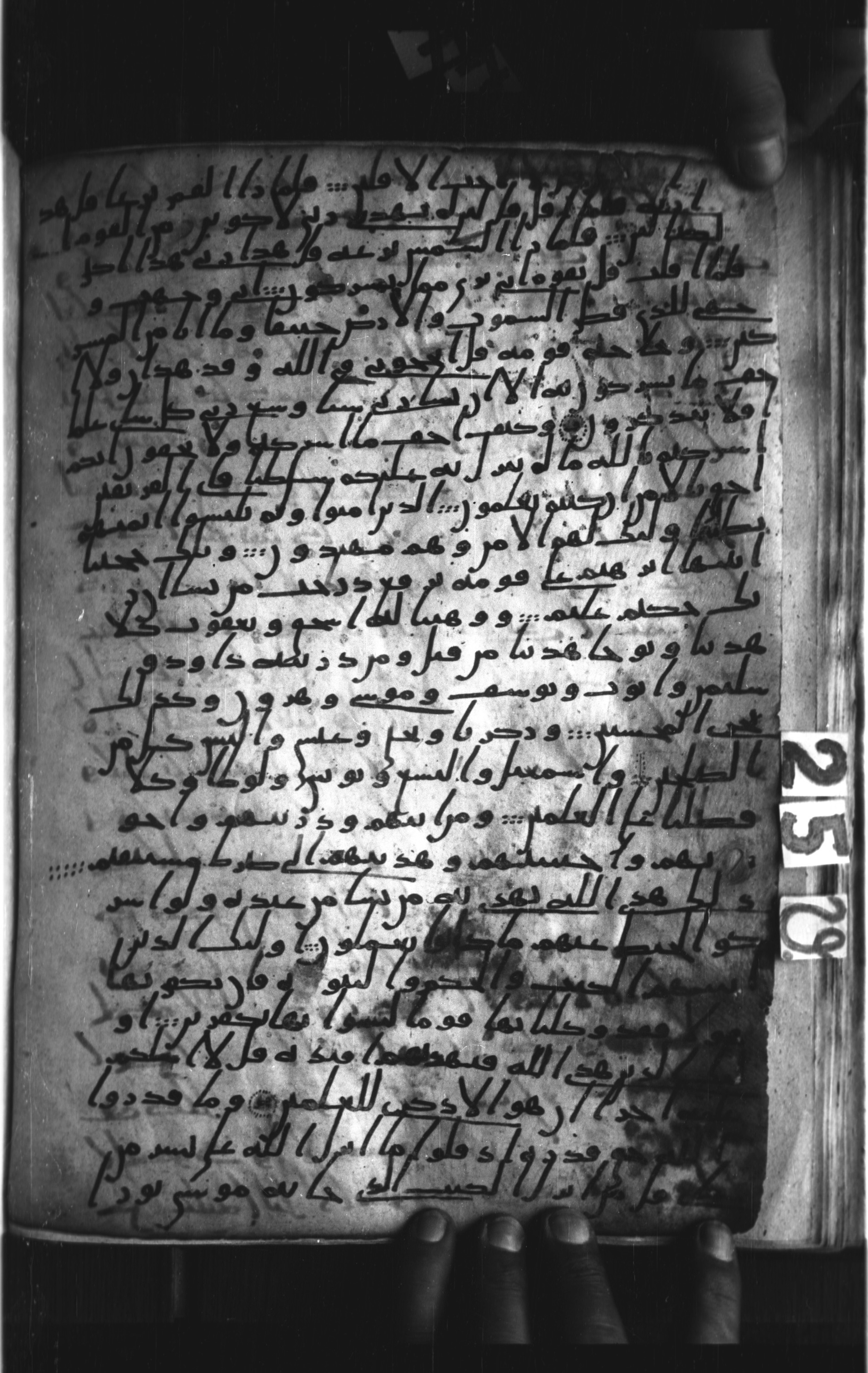 London, The British Library, Or. 2165 (Scan 1), in ḥiǧāzī II script, showing Surah 6:83 from Mid 7th to Mid 8th Century AD found in Fustat (Old Cairo), Egypt, currently housed at The British Library, London