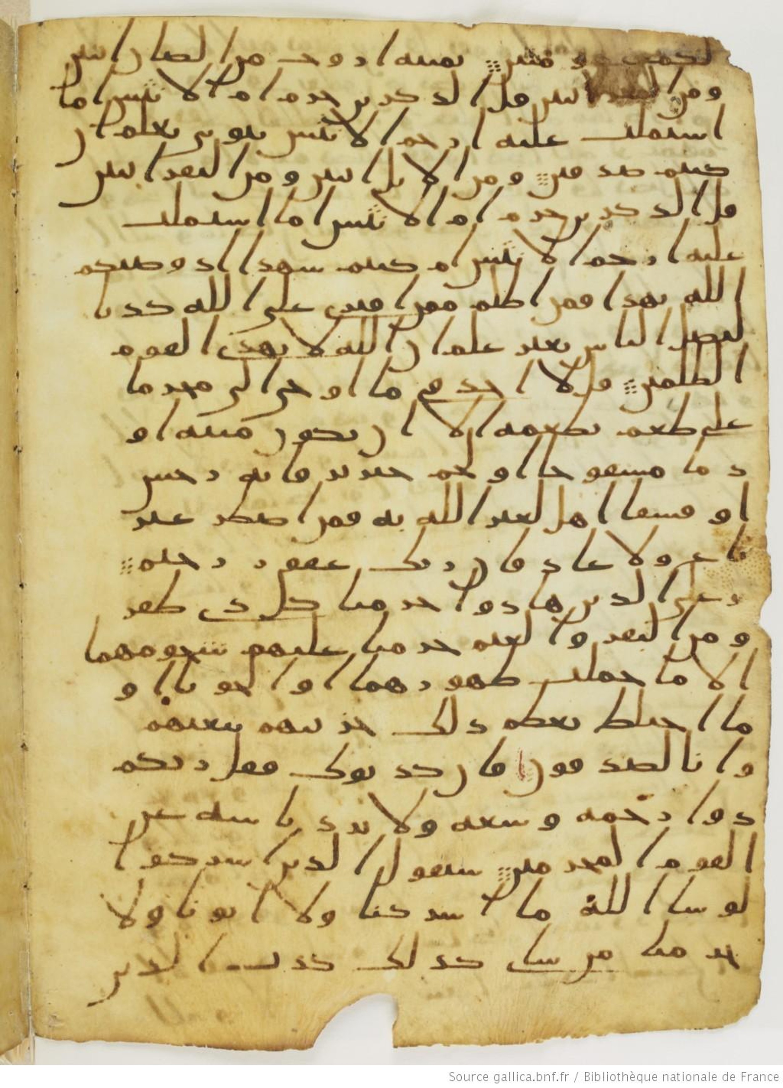 London, The British Library, Or. 2165 (Scan 2), in ḥiǧāzī II script, showing Surah 6:147 from Mid 7th to Mid 8th Century AD found in Fustat (Old Cairo), Egypt, currently housed at The British Library, London