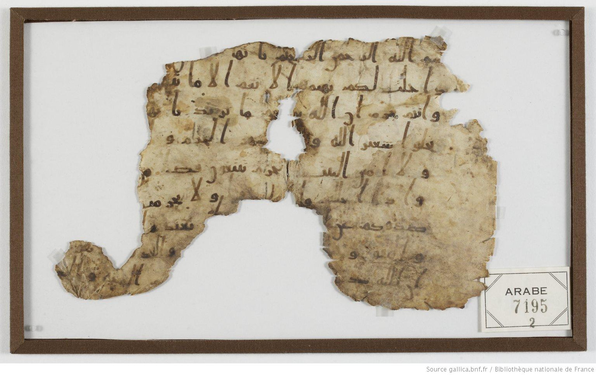 London, The British Library, Or. 2165 (Scan 3), in ḥiǧāzī II script, showing Surah 5:2 from Mid 7th to Mid 8th Century AD found in Fustat (Old Cairo), Egypt, currently housed at The British Library, London
