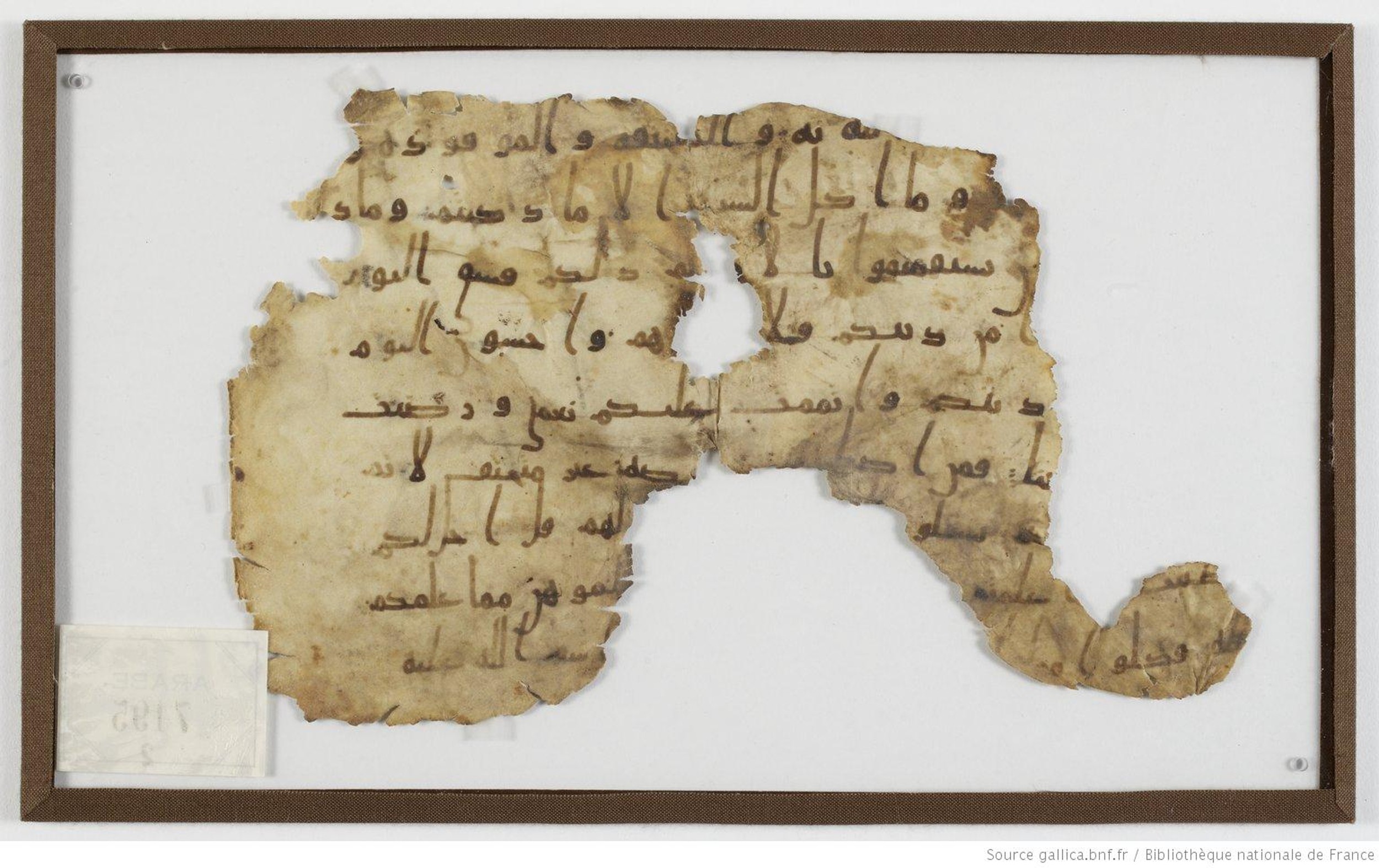 London, The British Library, Or. 2165 (Scan 3), in ḥiǧāzī II script, showing Surah 5:4 from Mid 7th to Mid 8th Century AD found in Fustat (Old Cairo), Egypt, currently housed at The British Library, London